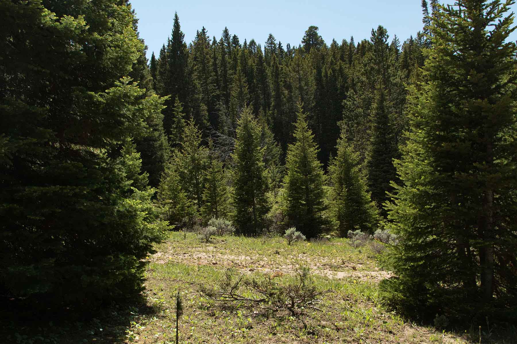 Indart Ranch property picture 6 of 50