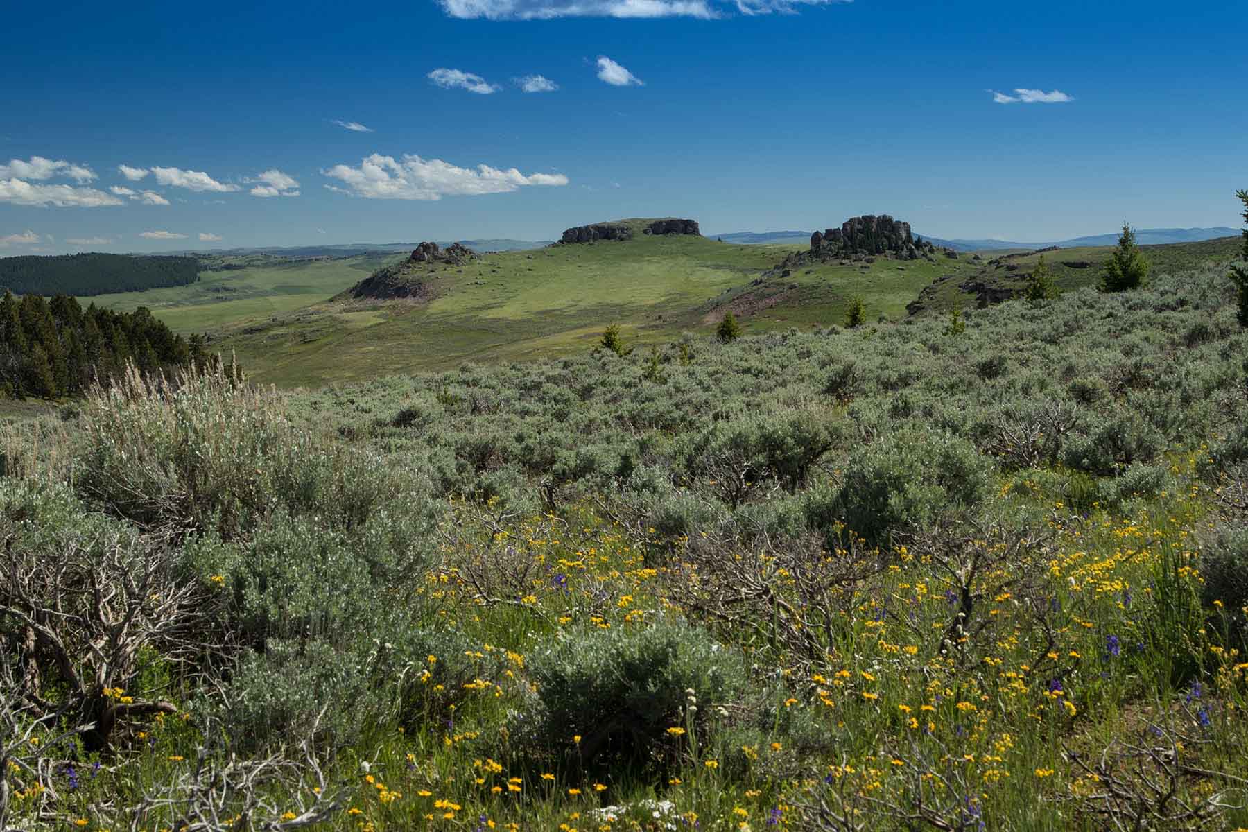 Indart Ranch property picture 7 of 50