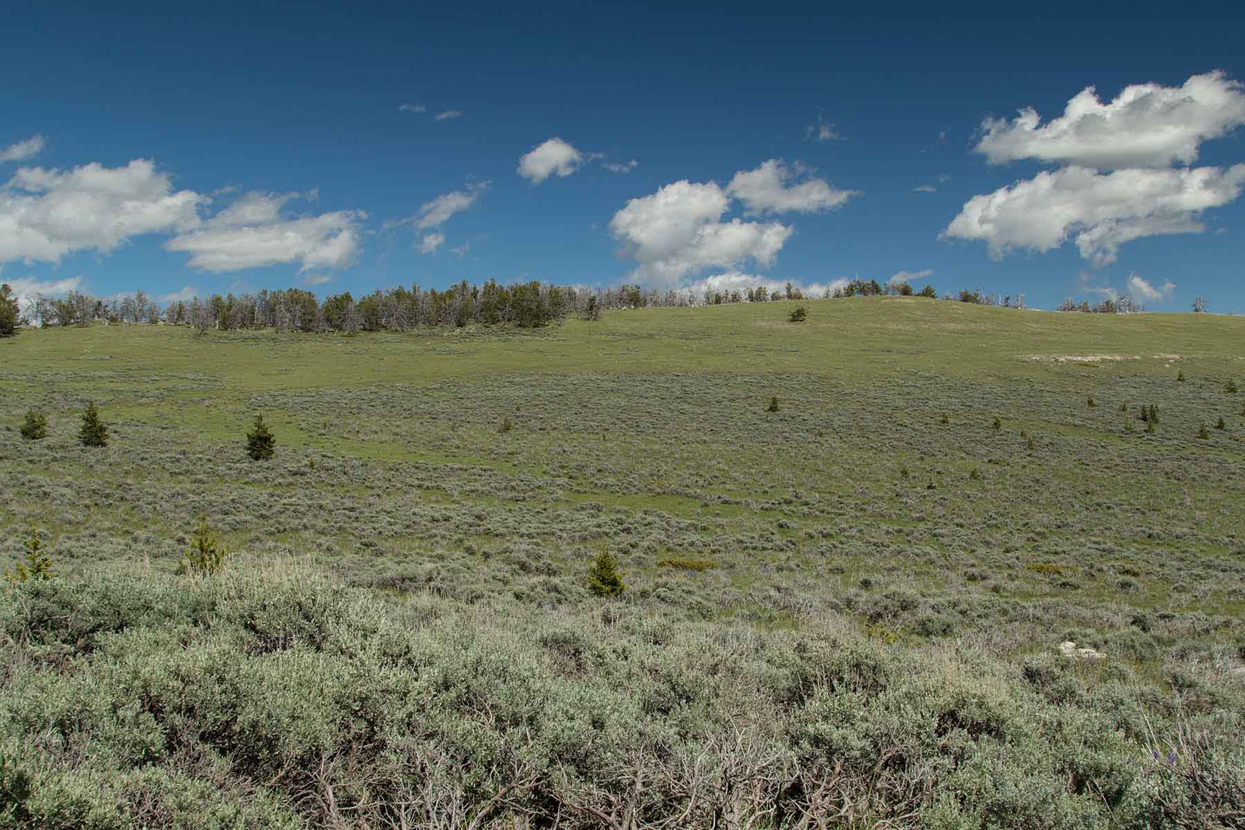 Indart Ranch property picture 9 of 50