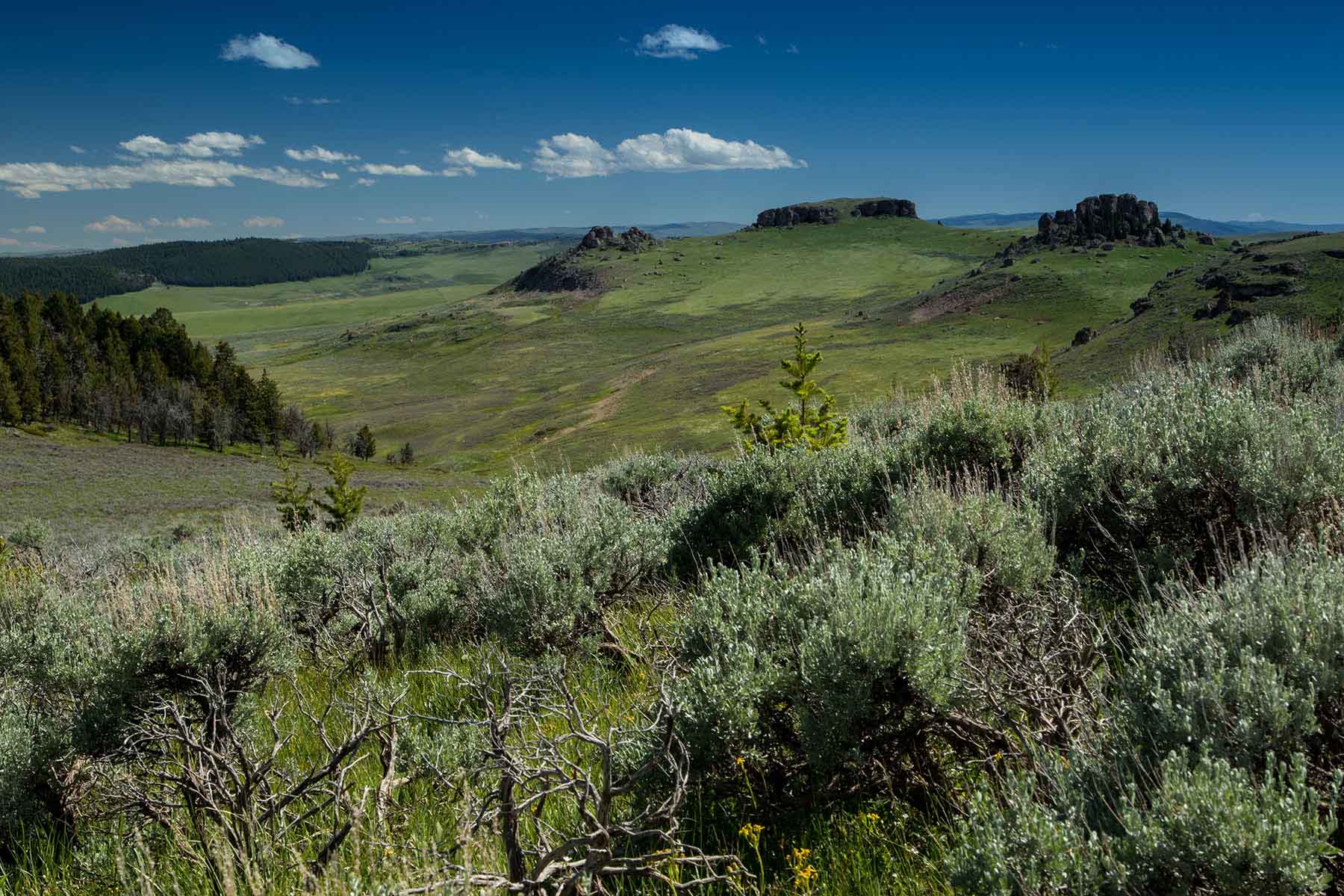 Indart Ranch property picture 10 of 50