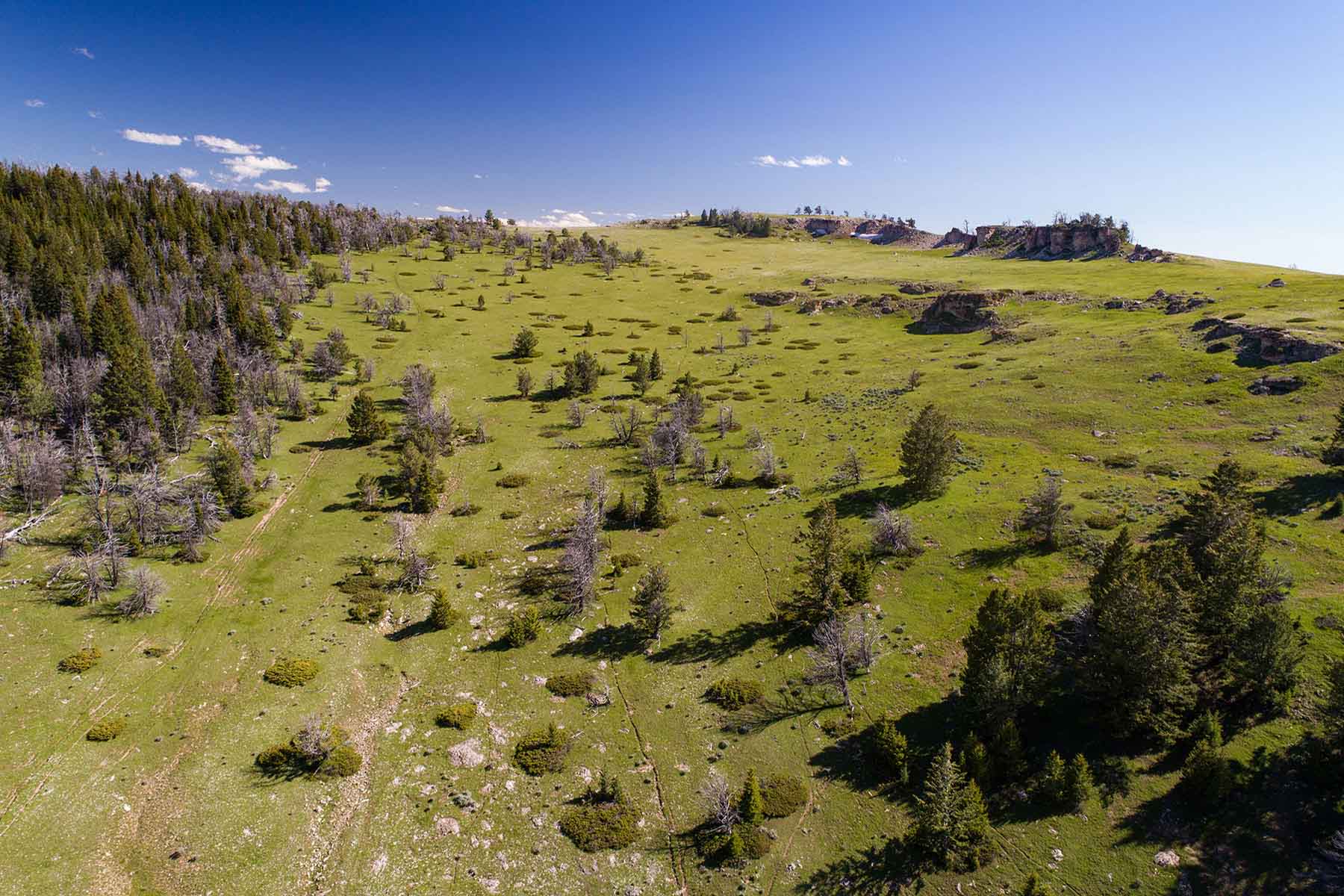 Indart Ranch property picture 11 of 50