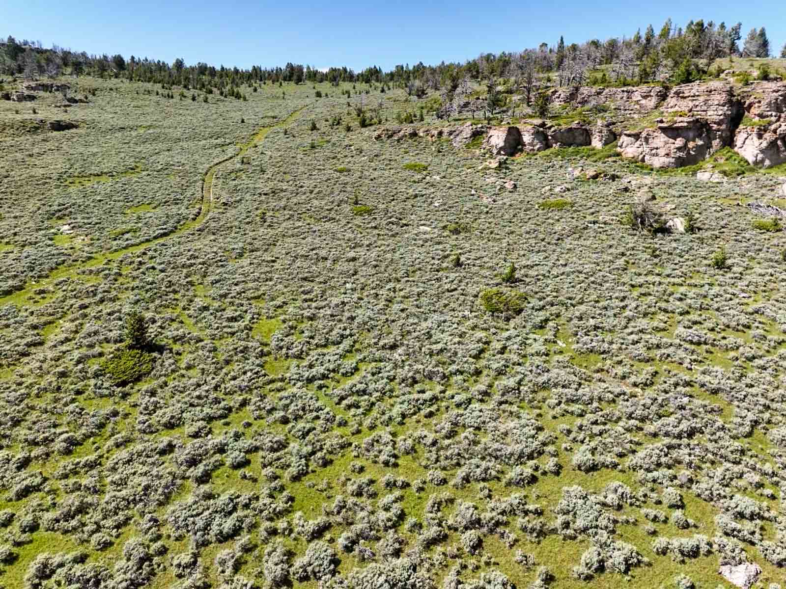 Indart Ranch property picture 13 of 50