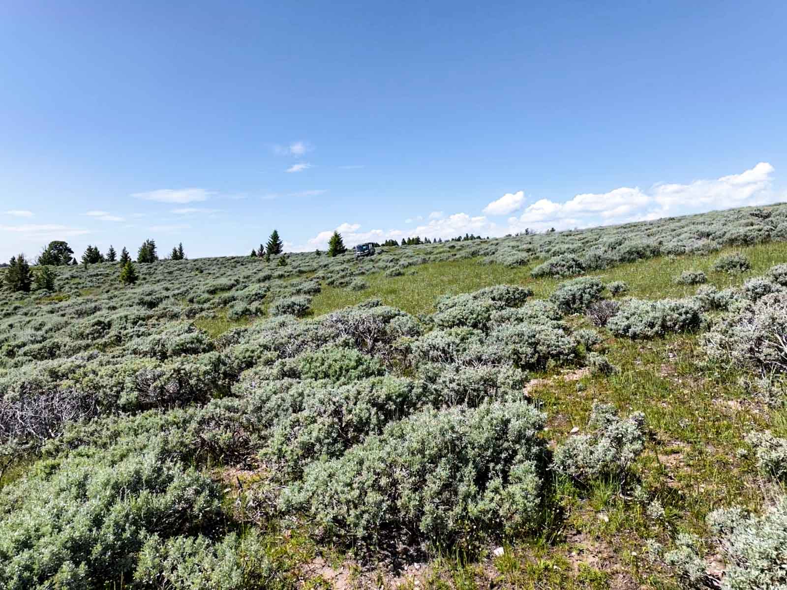 Indart Ranch property picture 21 of 50