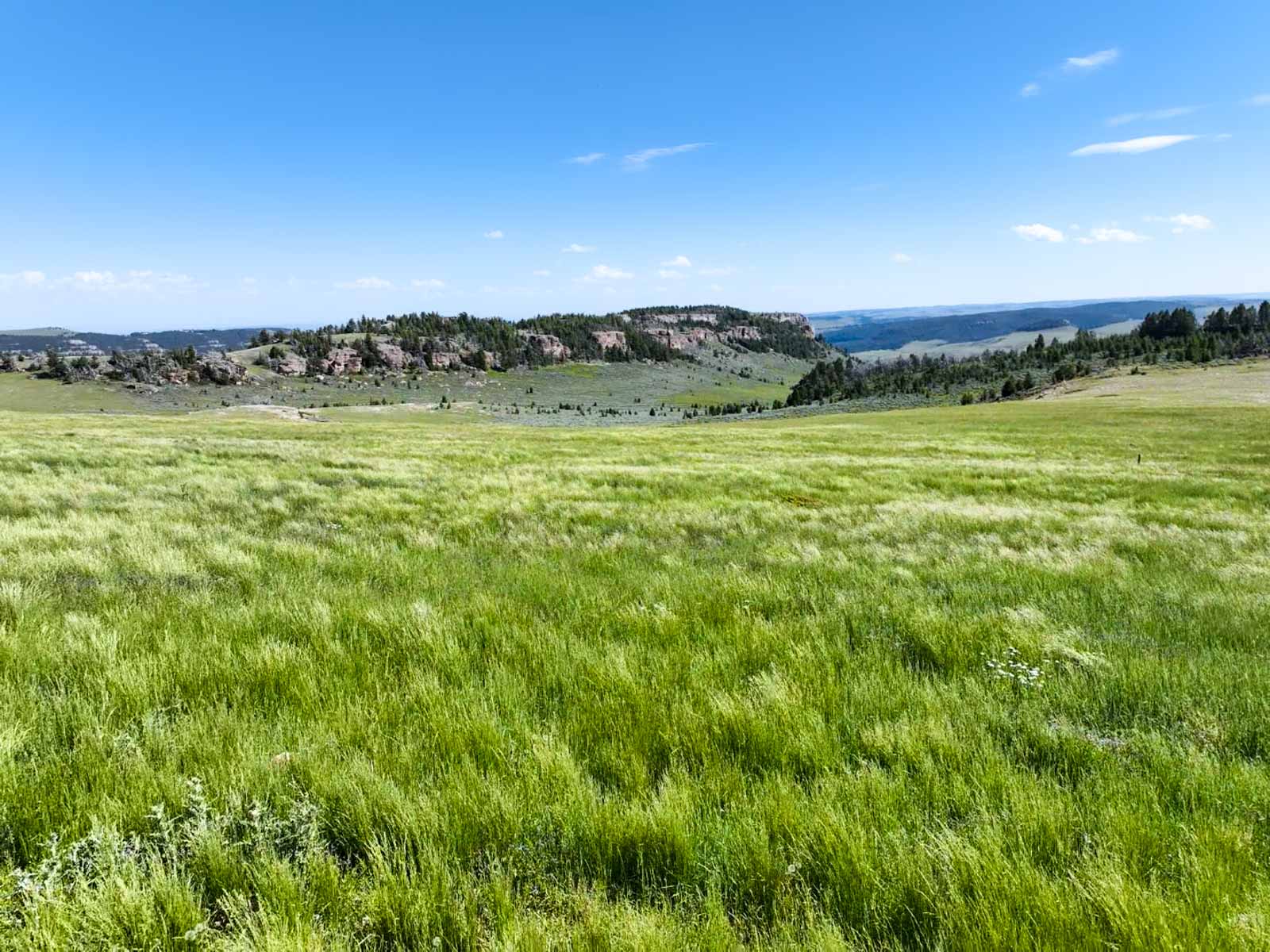 Indart Ranch property picture 32 of 50