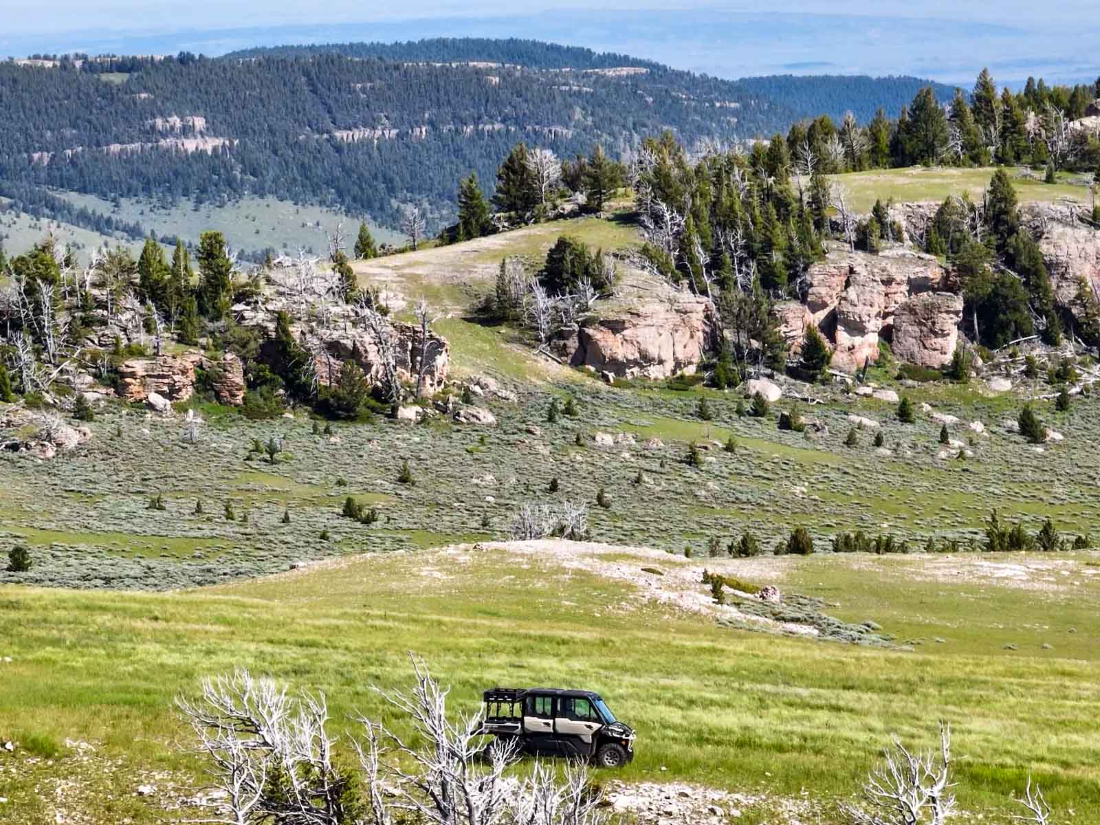 Indart Ranch property picture 30 of 50