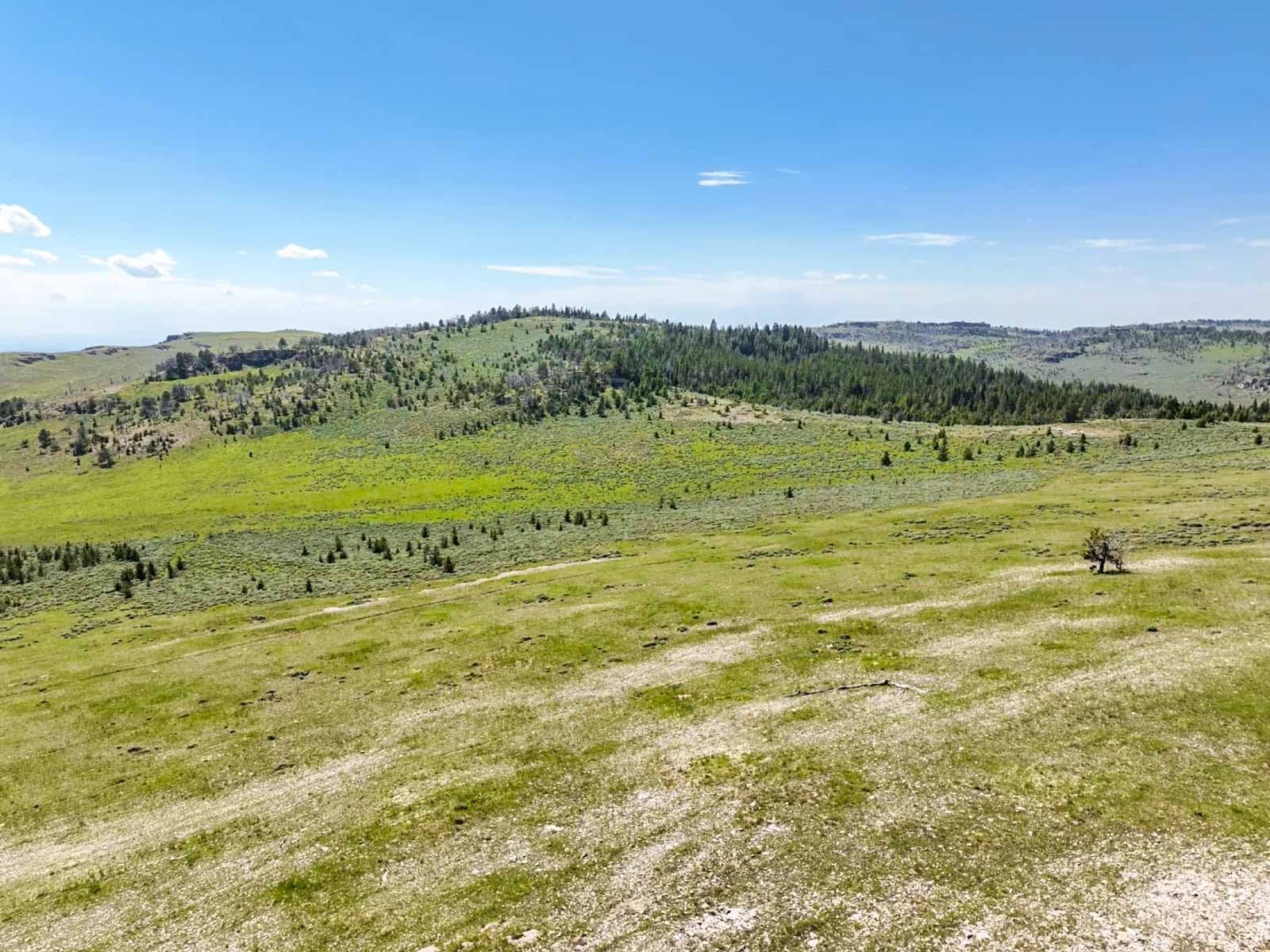 Indart Ranch property picture 28 of 50