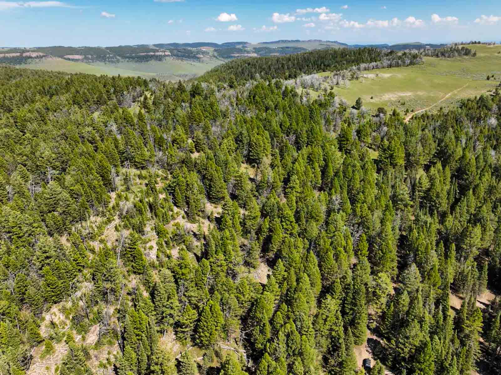 Indart Ranch property picture 19 of 50