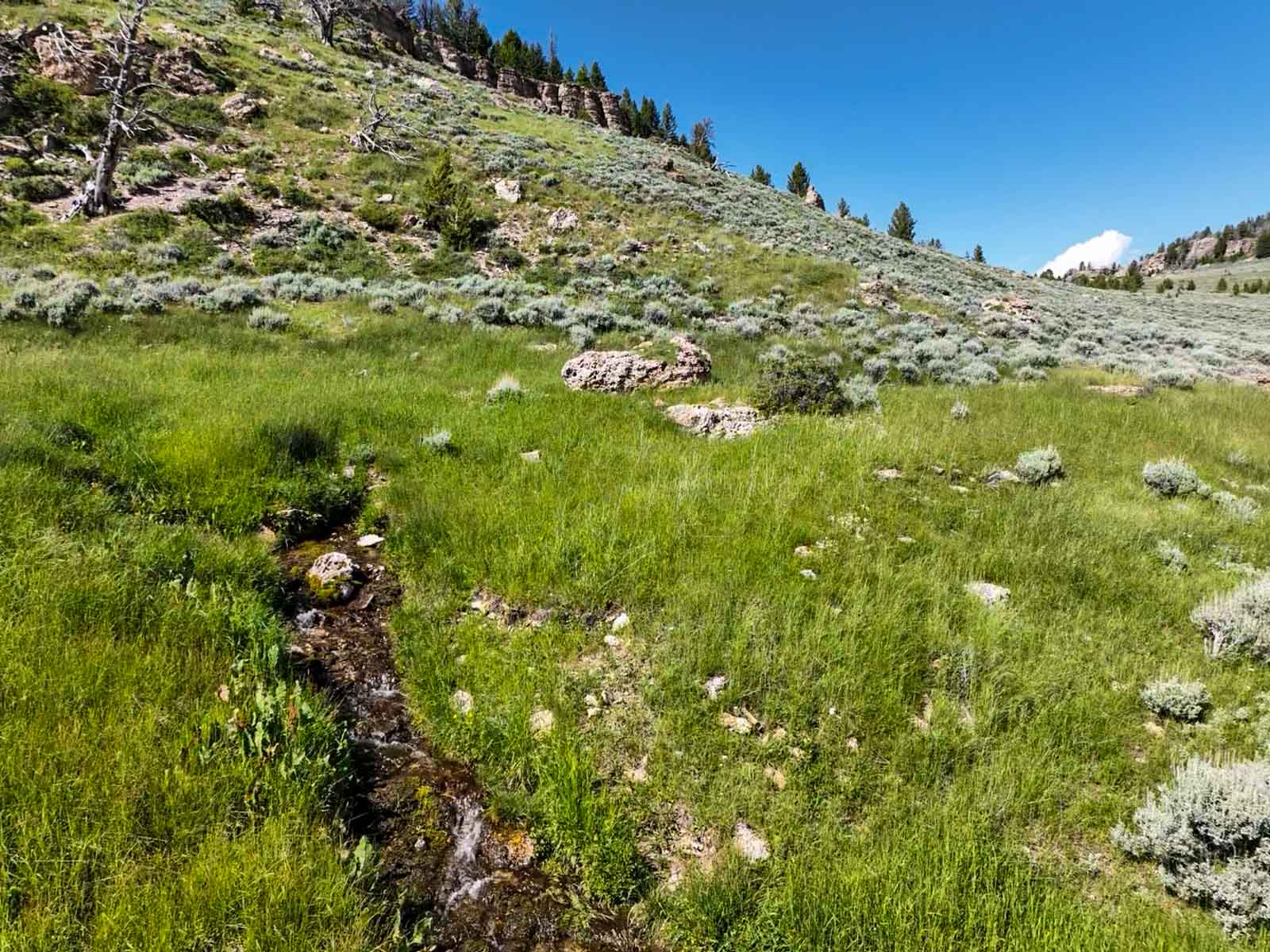 Indart Ranch property picture 48 of 50