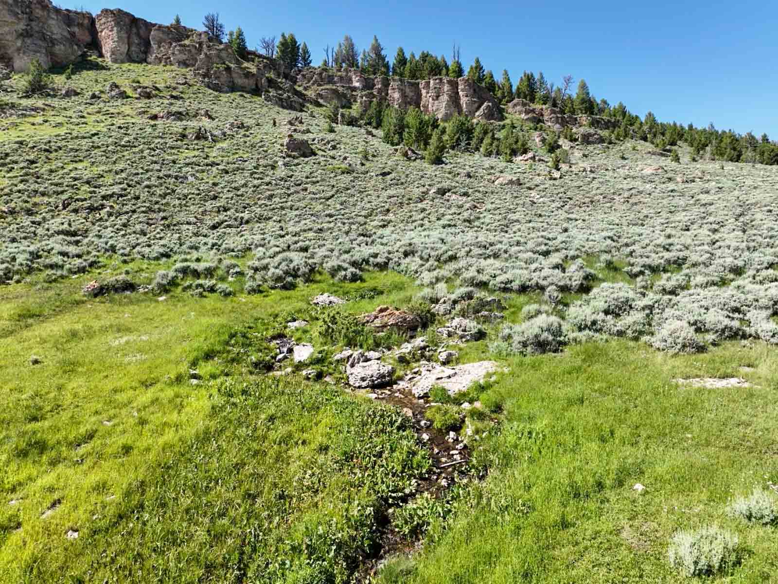 Indart Ranch property picture 42 of 50