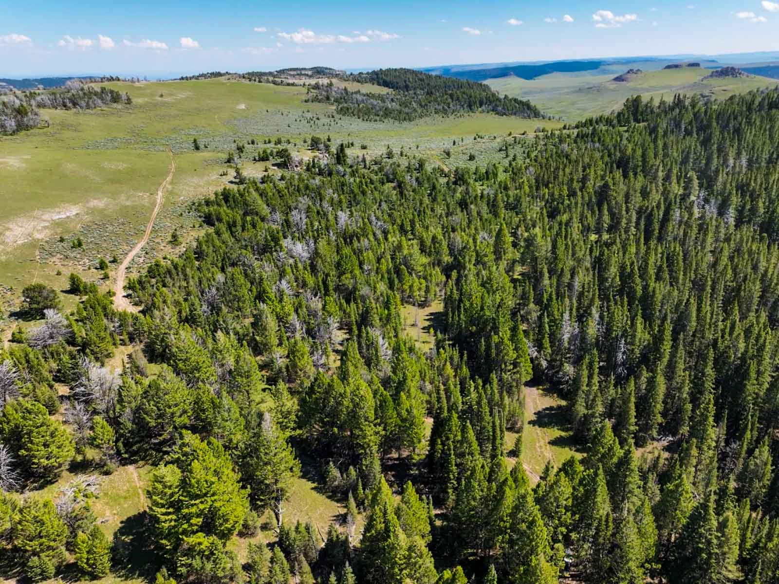 Indart Ranch property picture 20 of 50