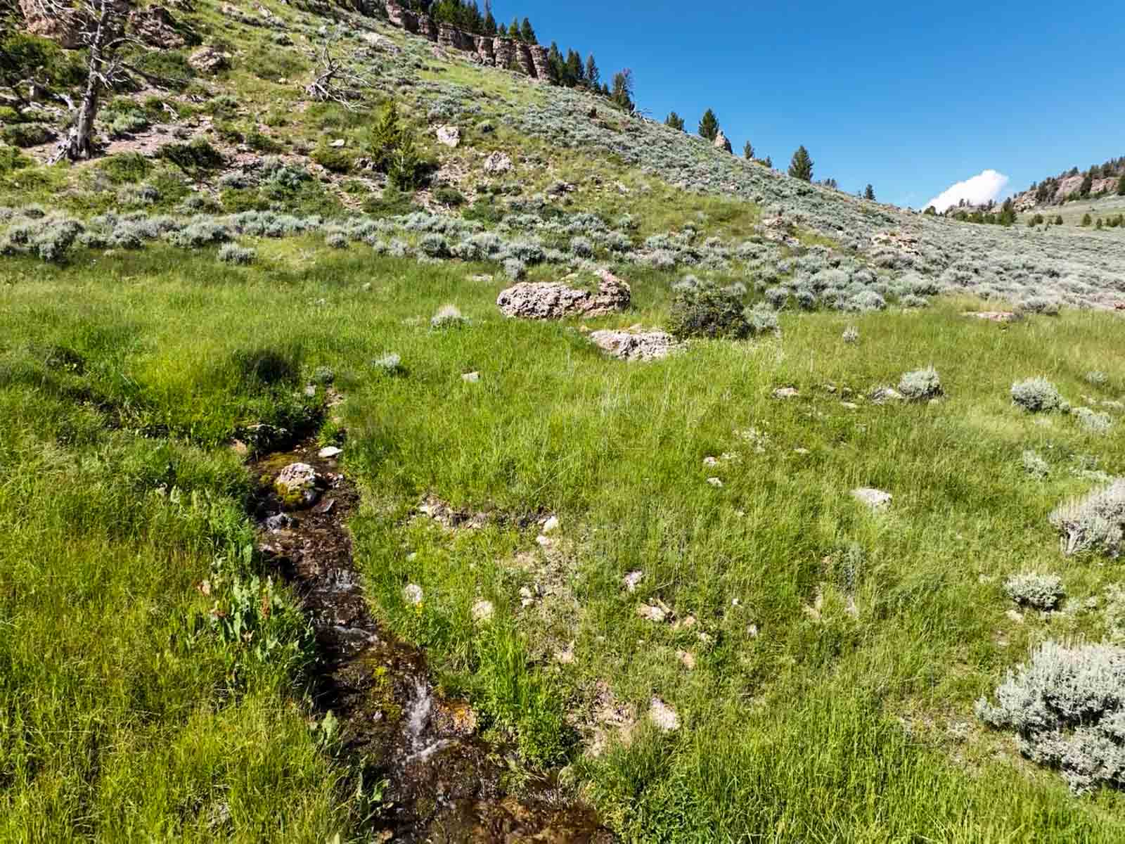 Indart Ranch property picture 49 of 50