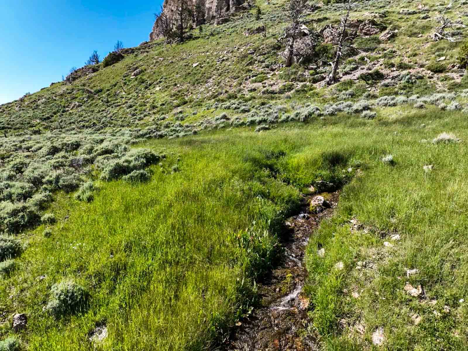 Indart Ranch property picture 47 of 50