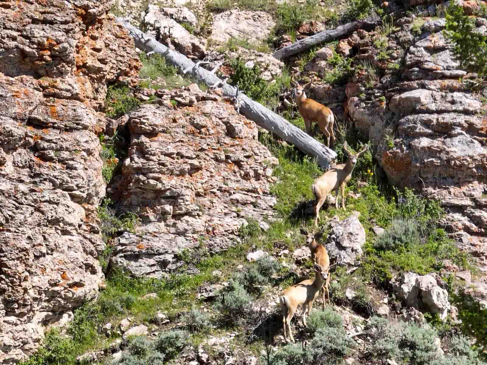 Indart Ranch property picture 39 of 50