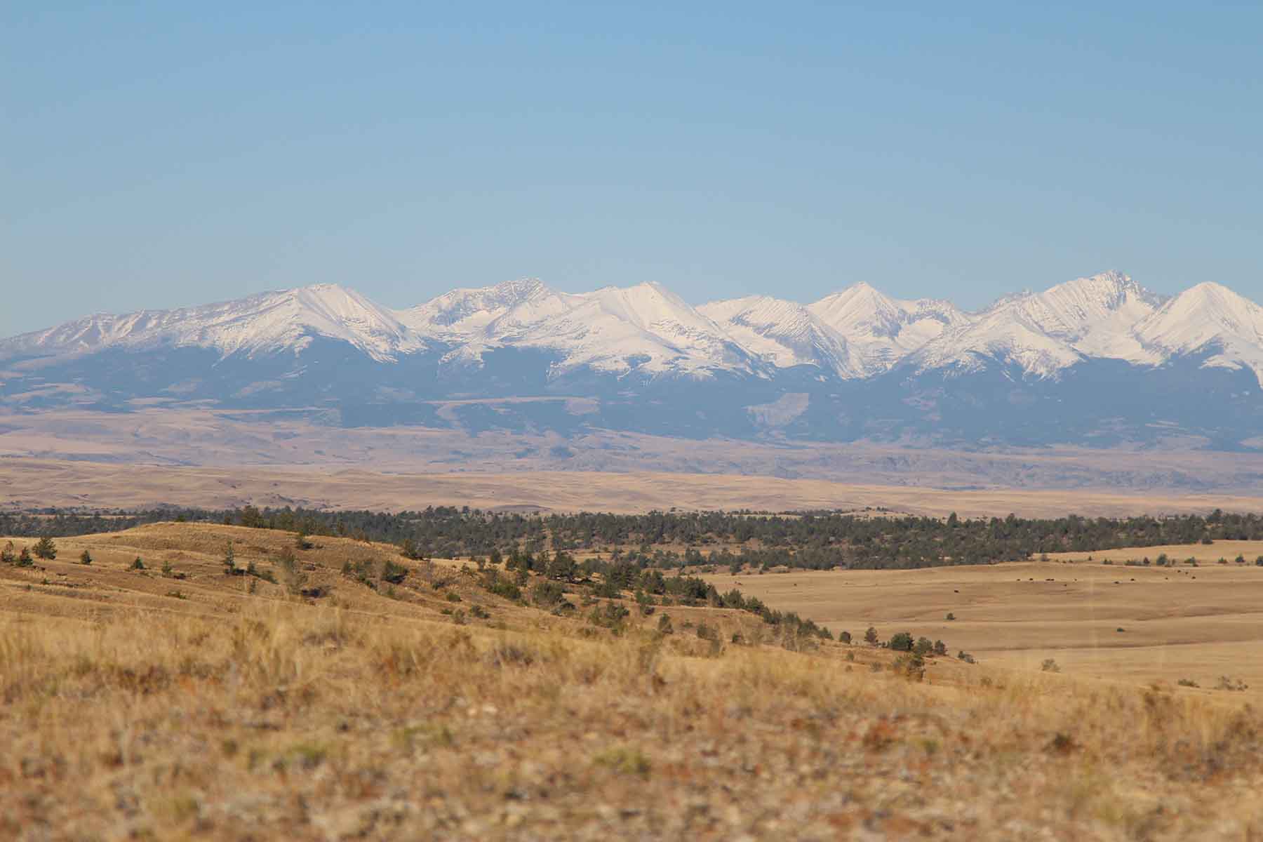 Ridge Grass Ranch property picture 8 of 11