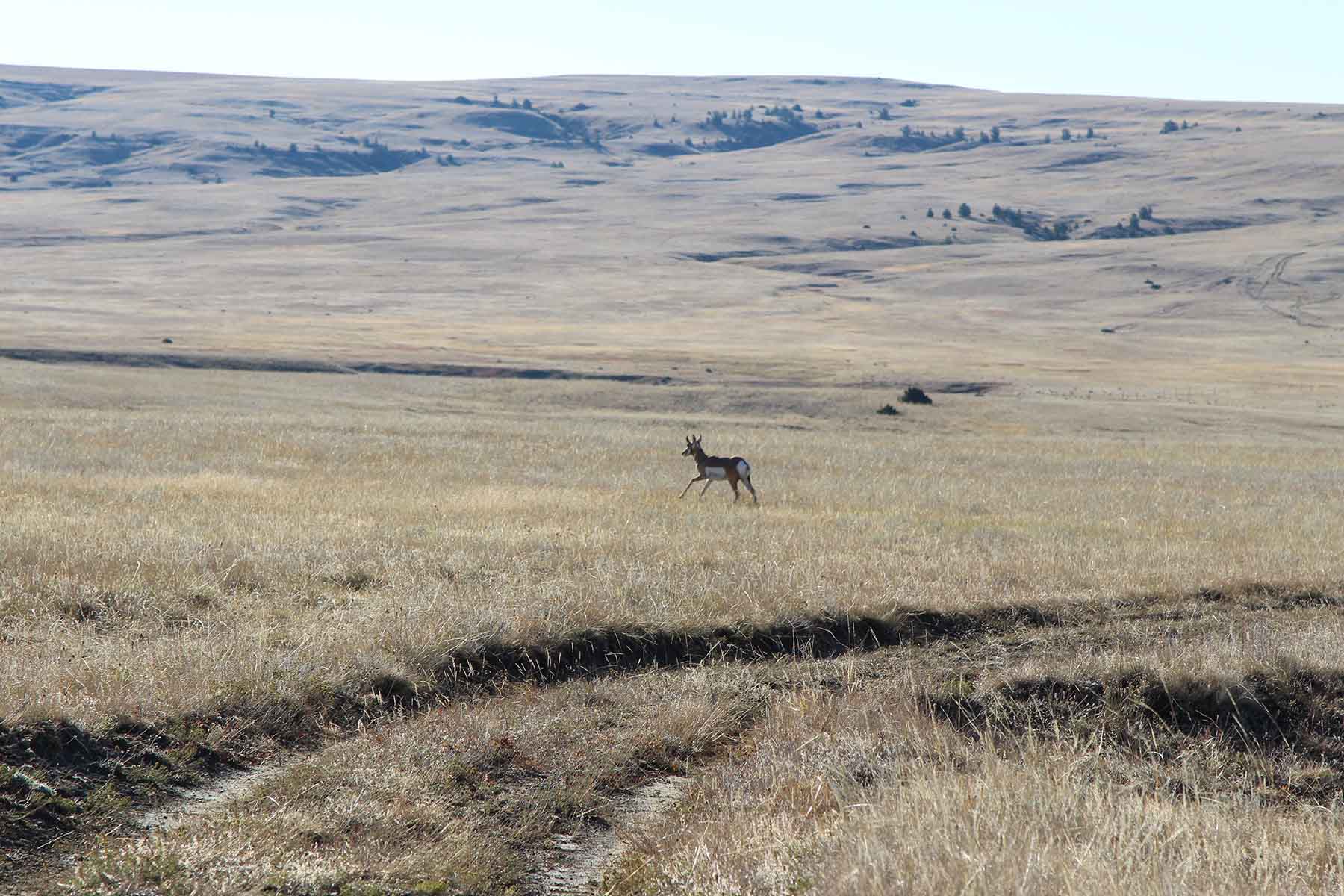 Ridge Grass Ranch property picture 2 of 11
