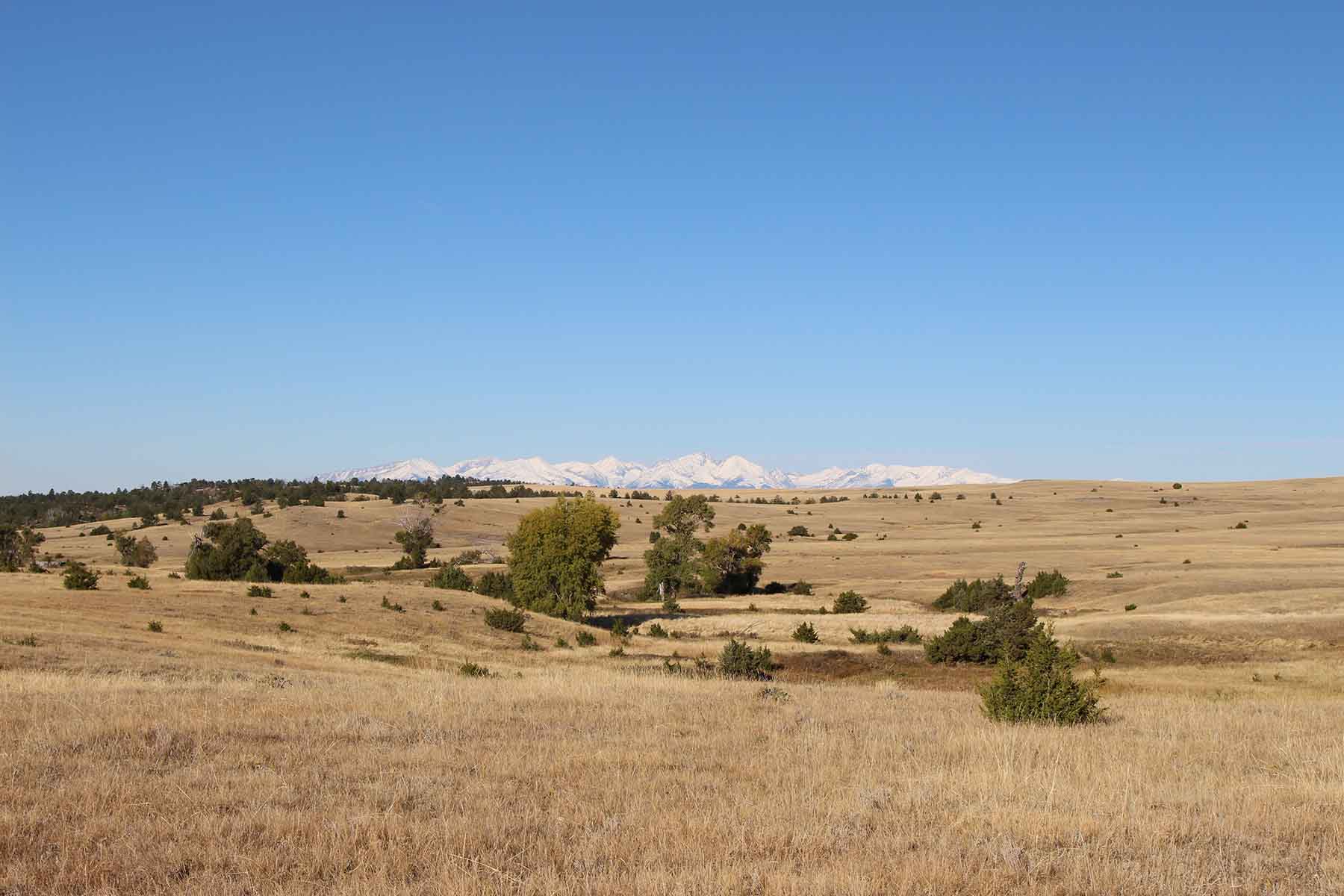 Ridge Grass Ranch property picture 11 of 11