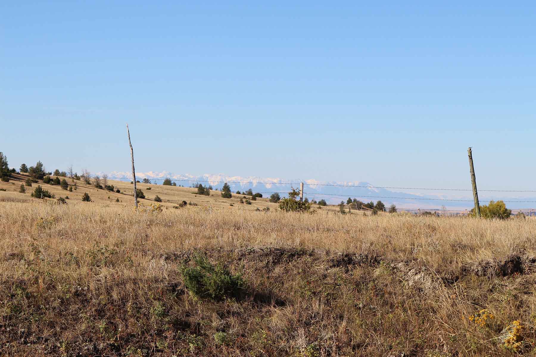 Ridge Grass Ranch property picture 9 of 11