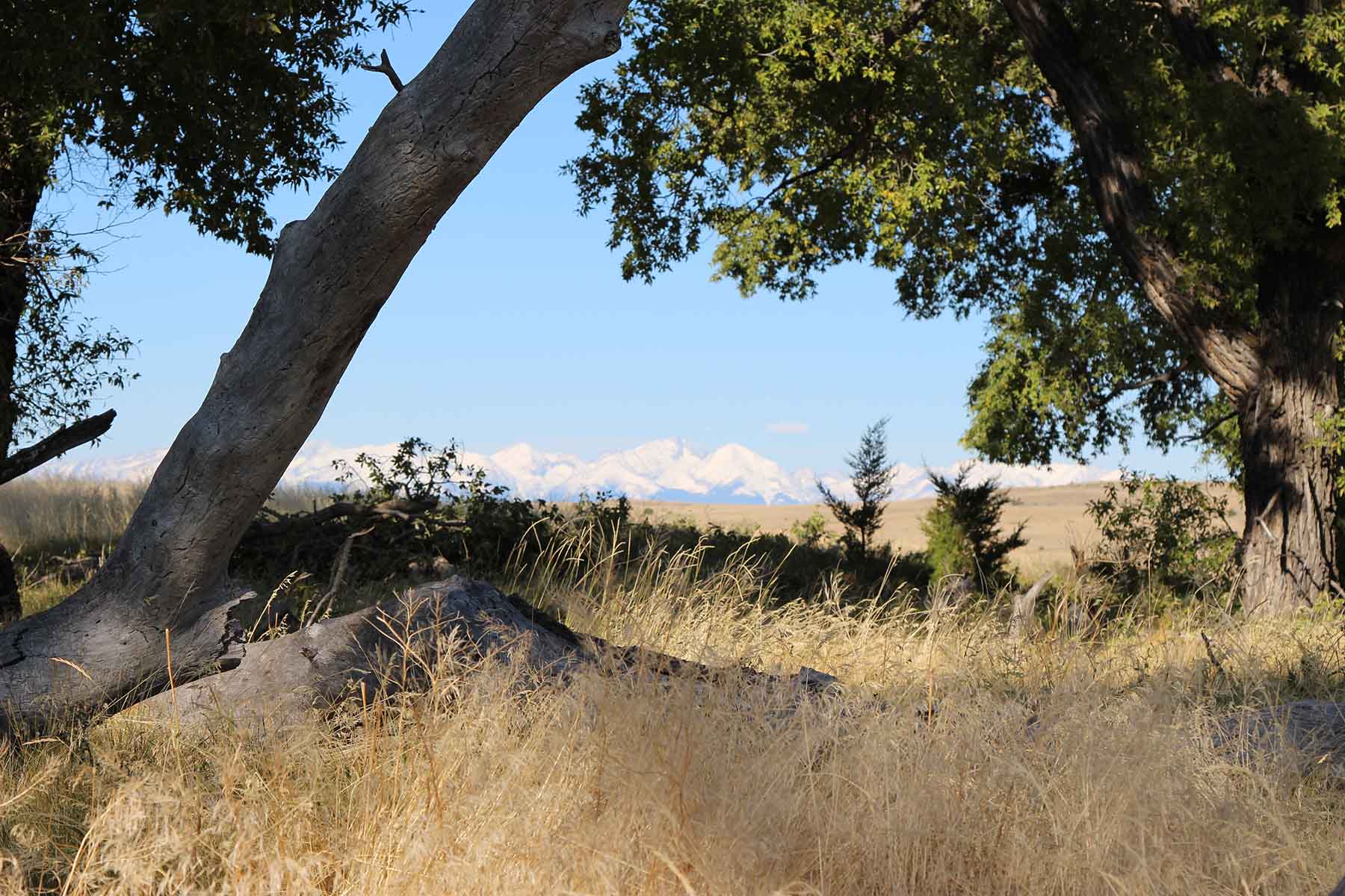 Ridge Grass Ranch property picture 10 of 11