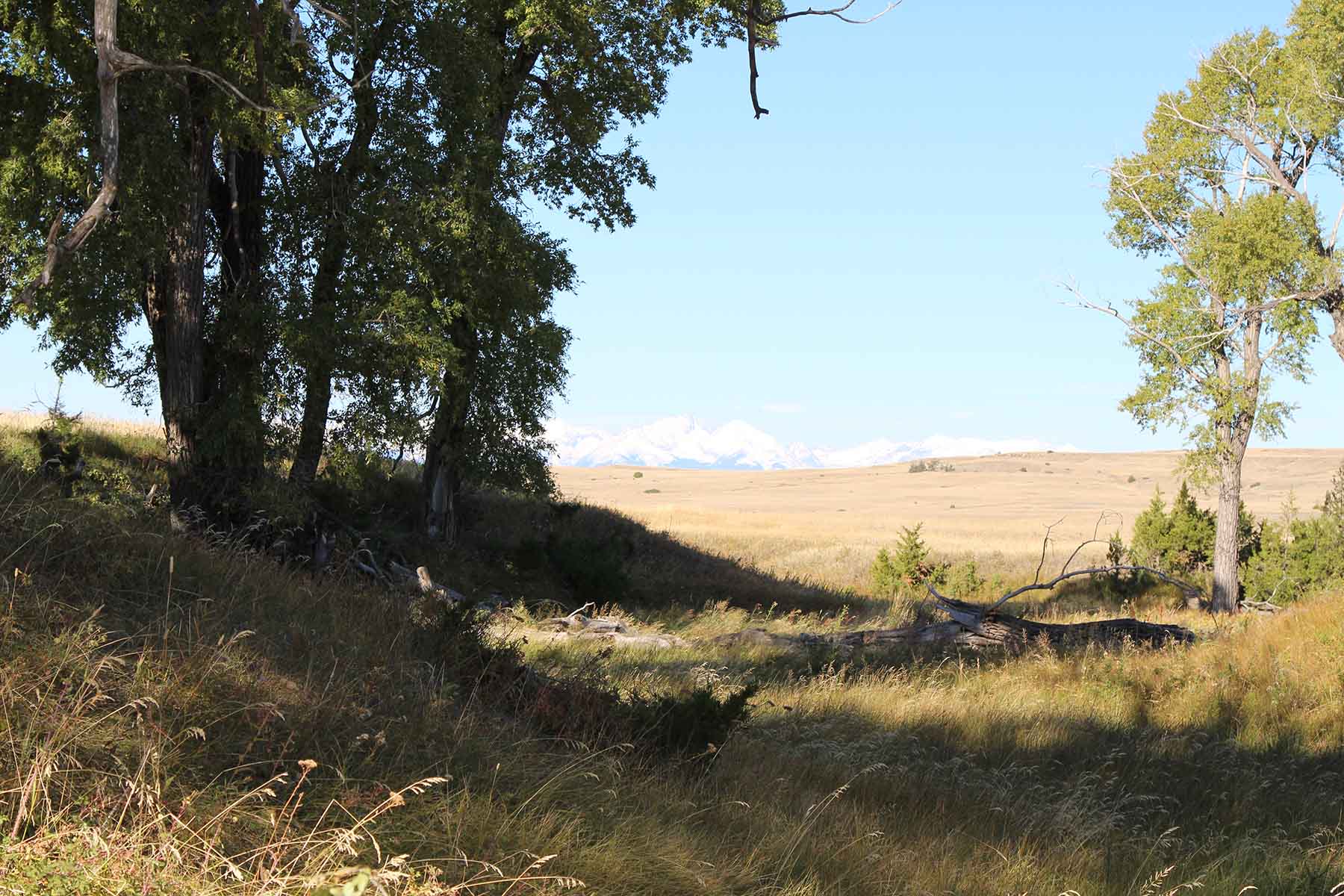 Ridge Grass Ranch property picture 7 of 11