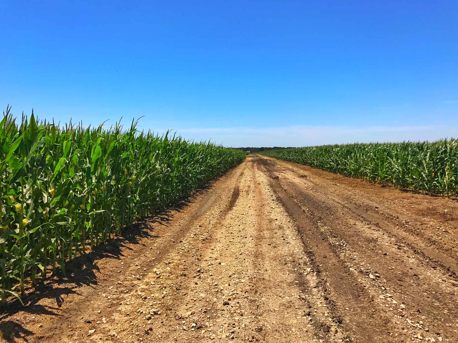 Texas Farm and Ranch property picture 6 of 27