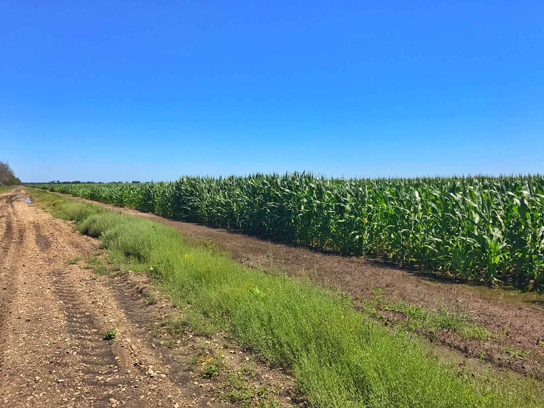 Texas Farm and Ranch property picture 8 of 27