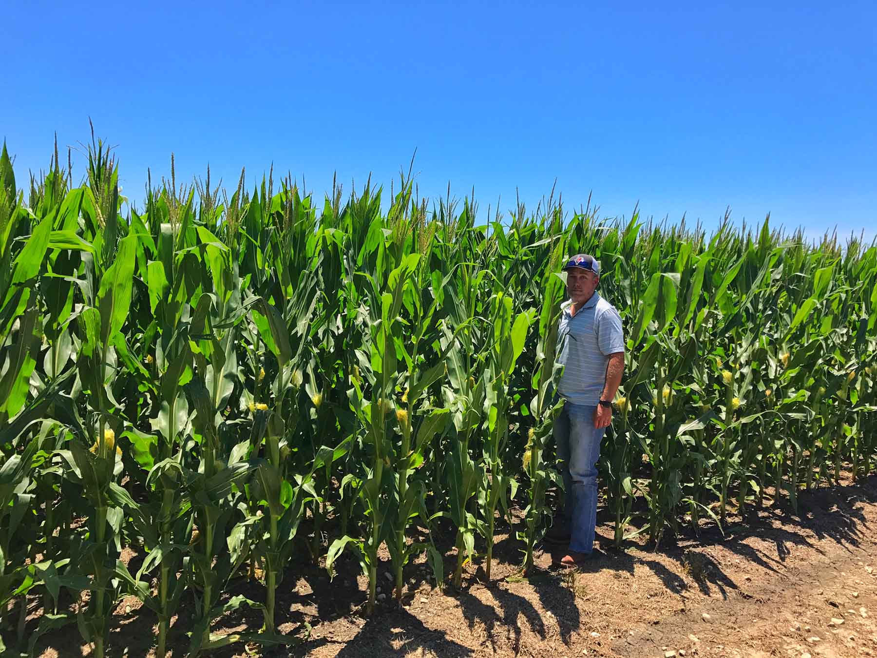 Texas Farm and Ranch property picture 9 of 27