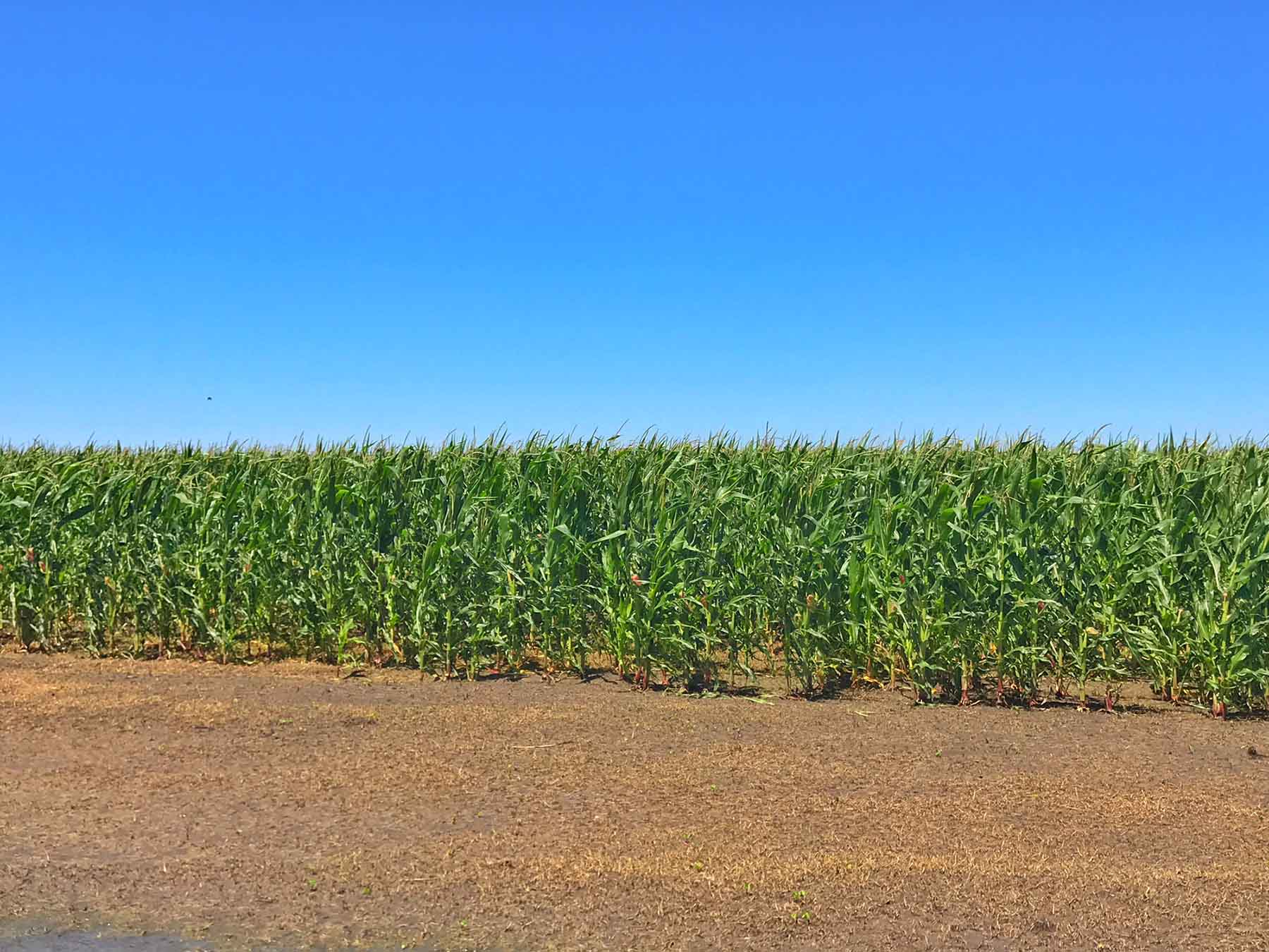 Texas Farm and Ranch property picture 12 of 27