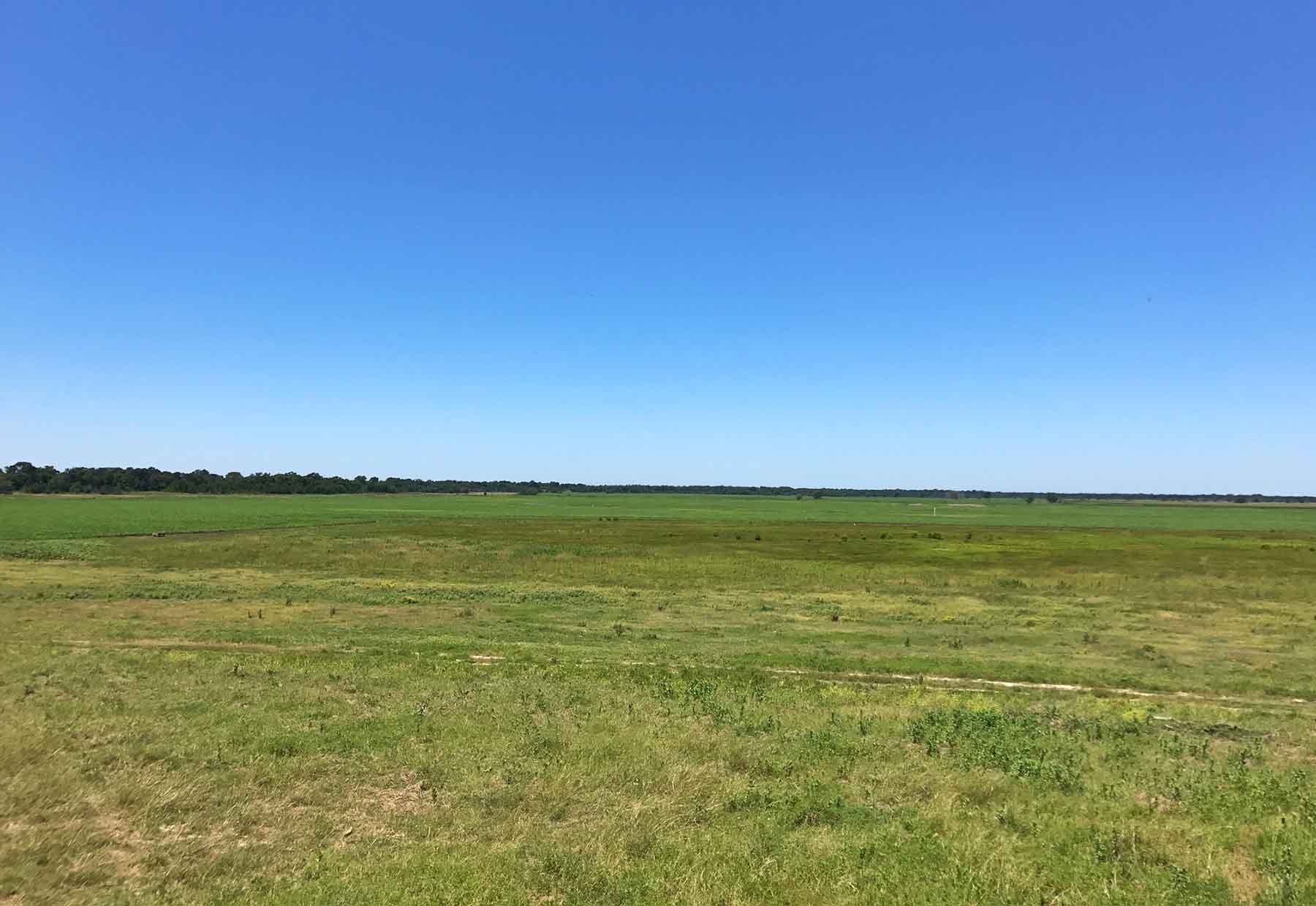 Texas Farm and Ranch property picture 14 of 27