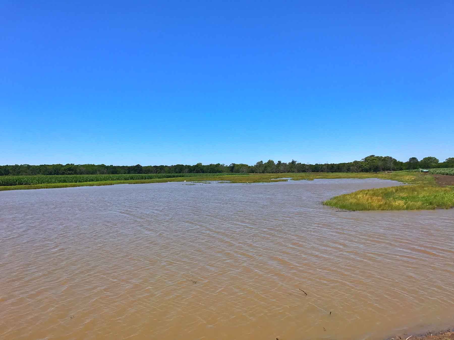 Texas Farm and Ranch property picture 27 of 27