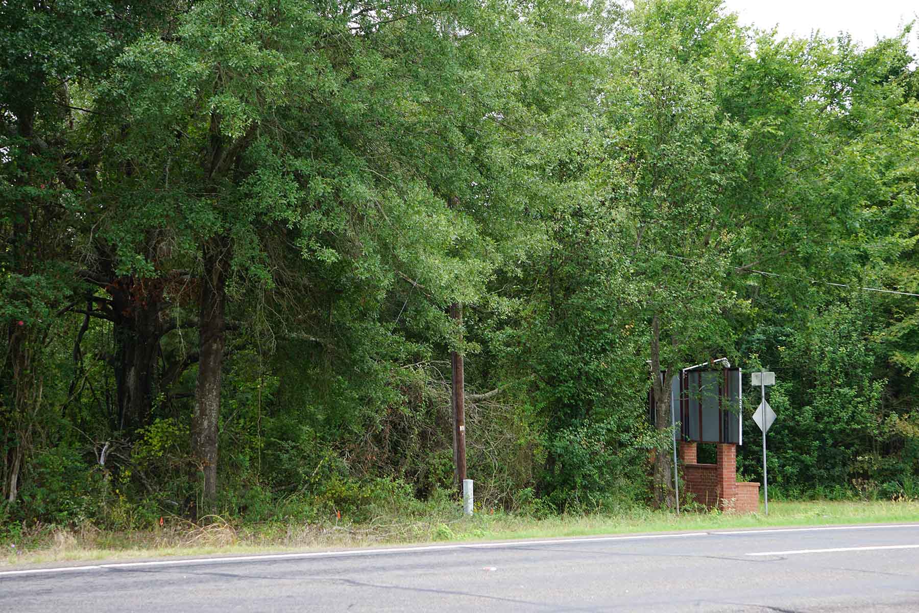 Texas Farm and Ranch property picture 15 of 27