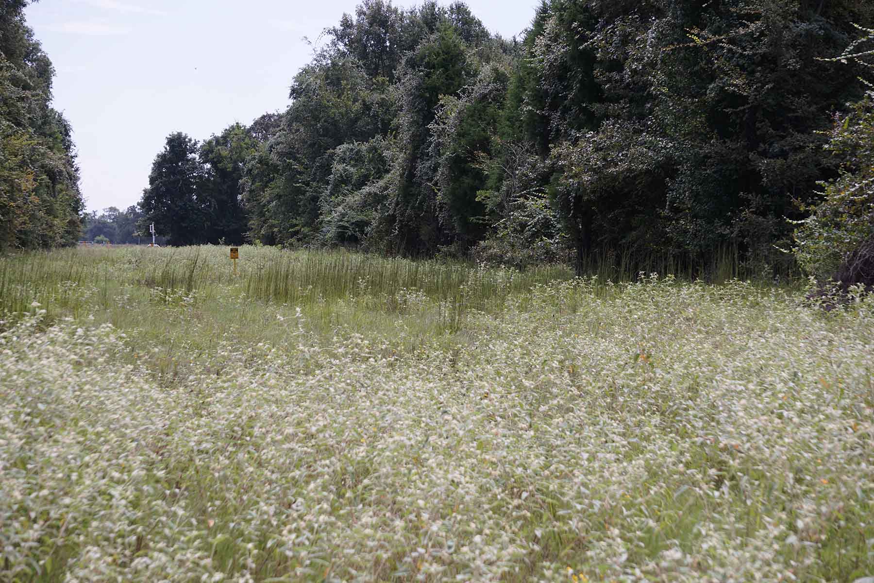 Texas Farm and Ranch property picture 17 of 27