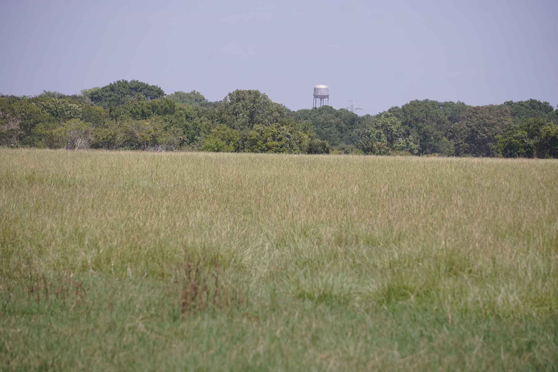 Texas Farm and Ranch property picture 18 of 27