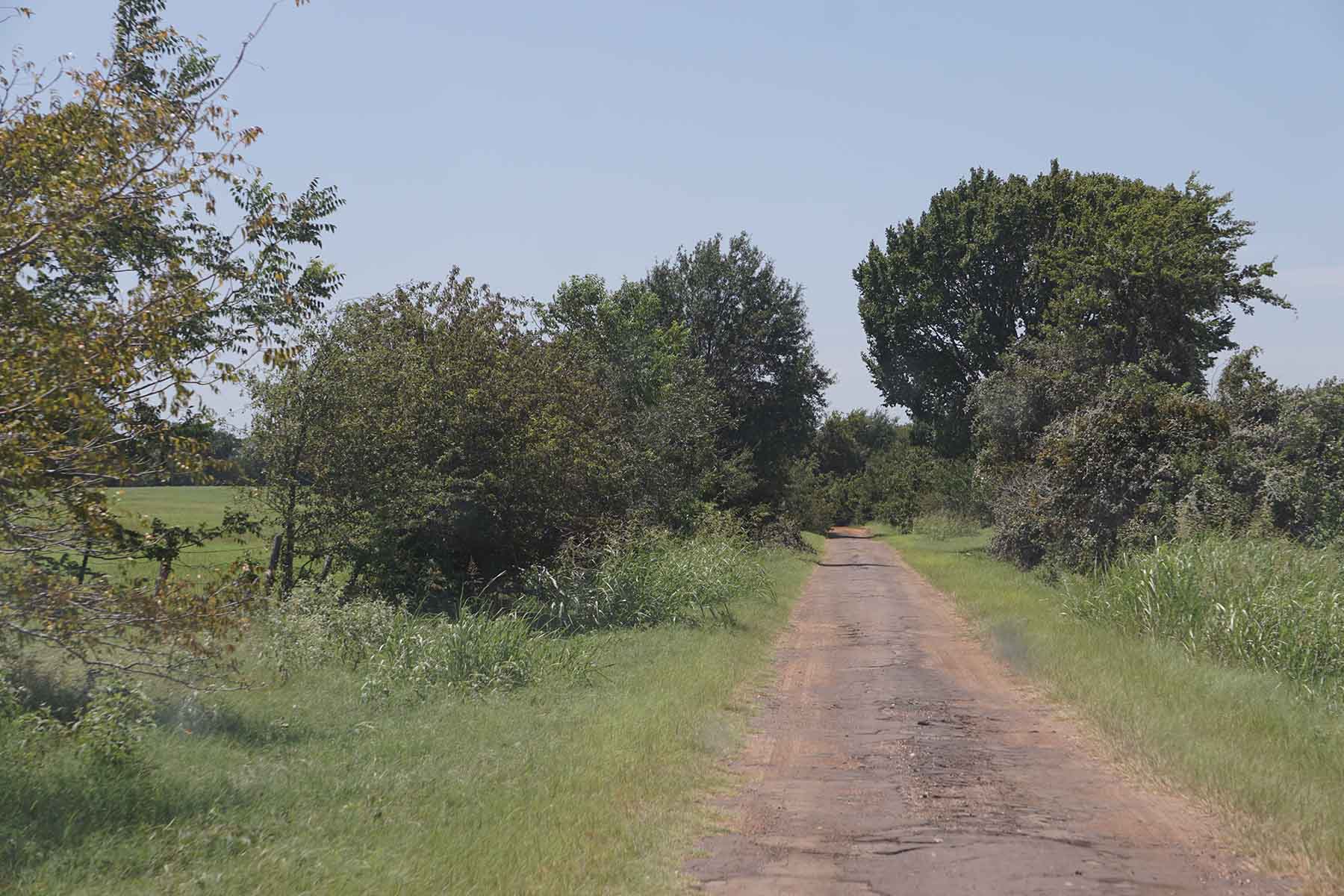 Texas Farm and Ranch property picture 24 of 27