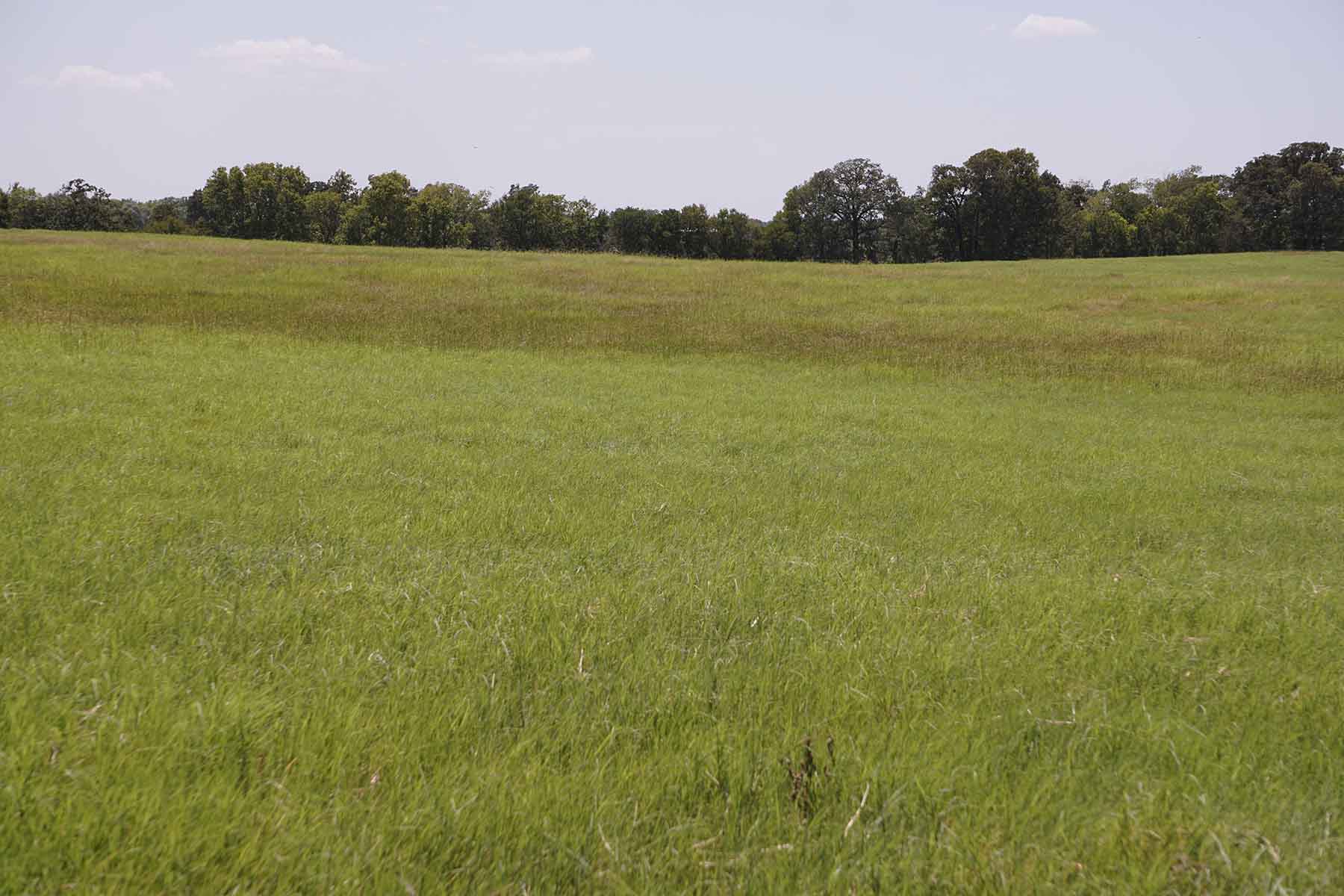 Texas Farm and Ranch property picture 25 of 27