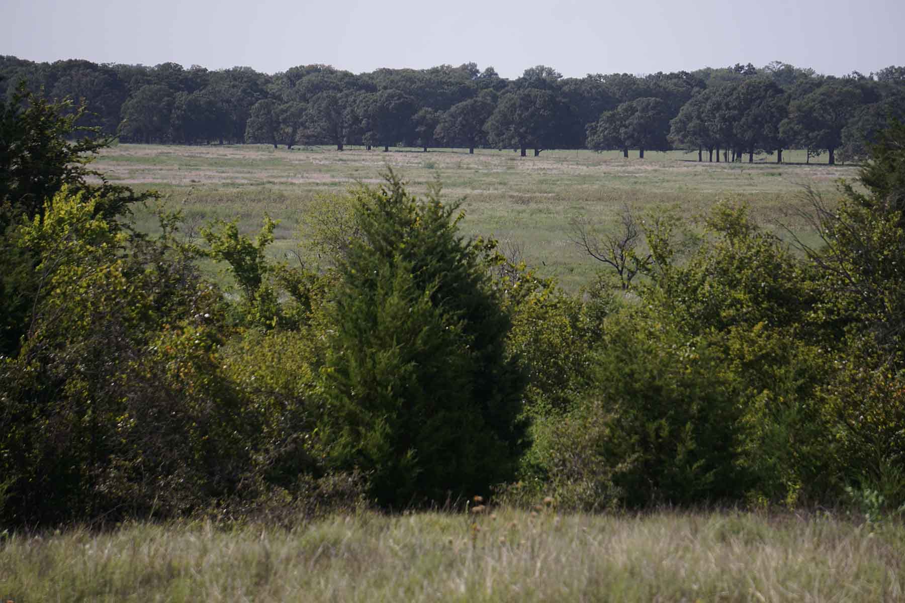Texas Farm and Ranch property picture 26 of 27