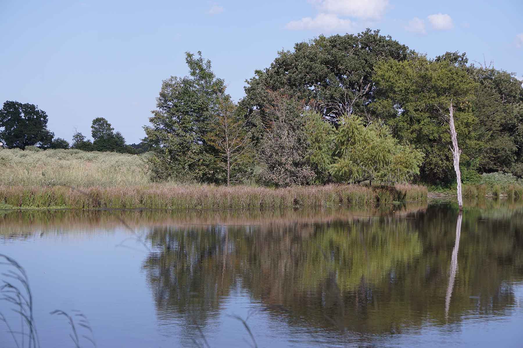 Texas Farm and Ranch property picture 2 of 27