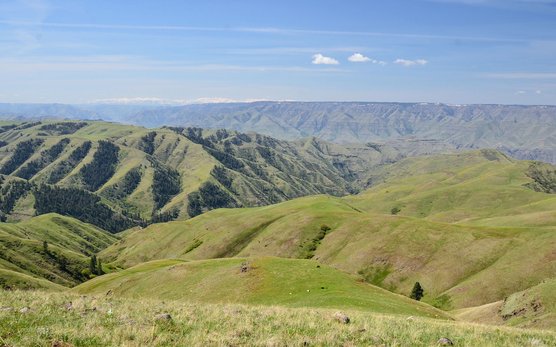 Lower Salmon River Ranch property picture 3 of 95