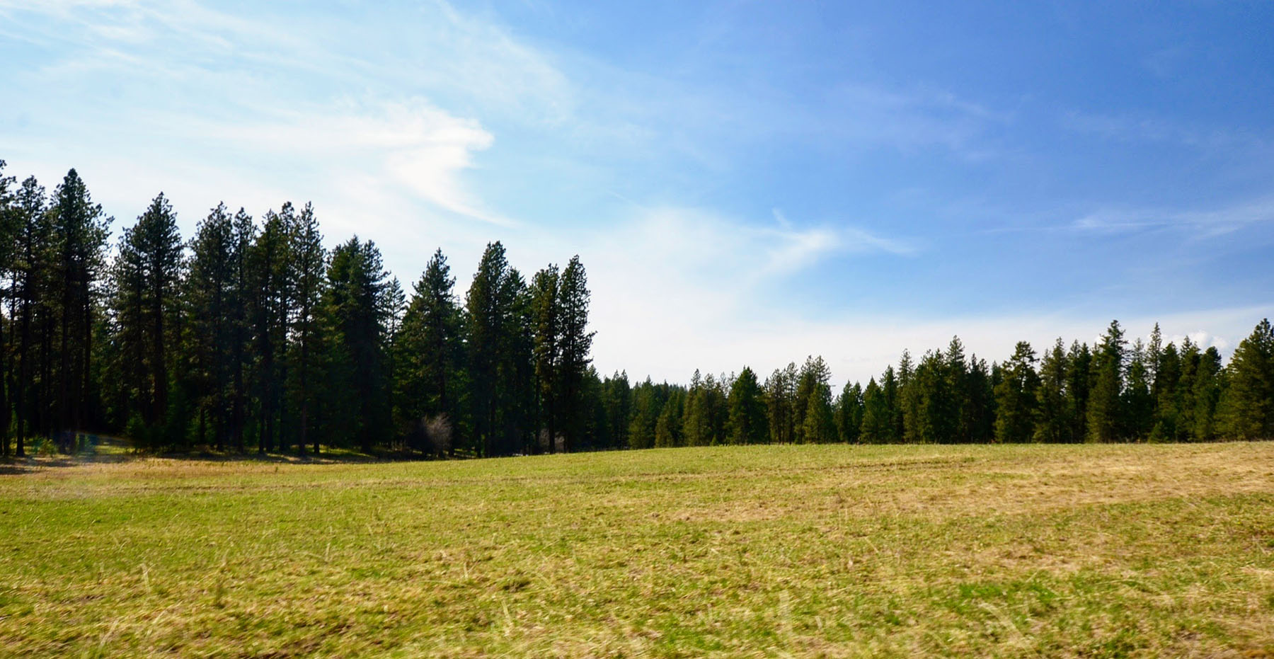 Lower Salmon River Ranch property picture 93 of 95