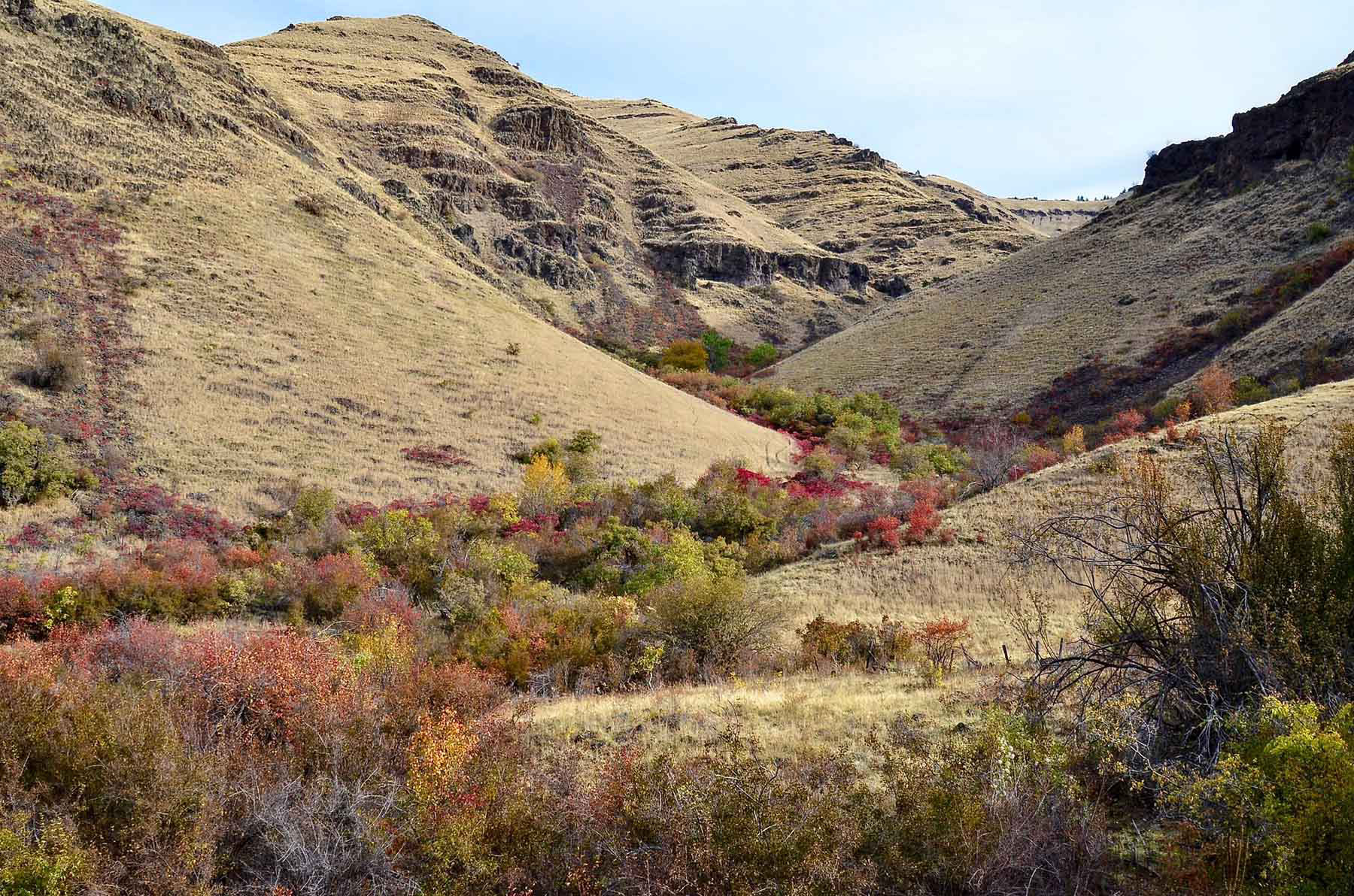 Lower Salmon River Ranch property picture 39 of 95