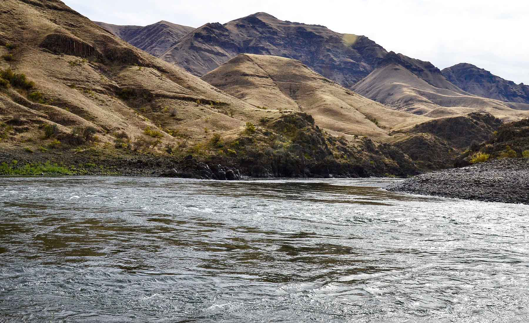 Lower Salmon River Ranch property picture 67 of 95