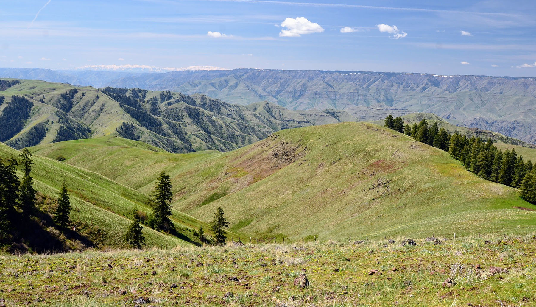 Lower Salmon River Ranch property picture 7 of 95