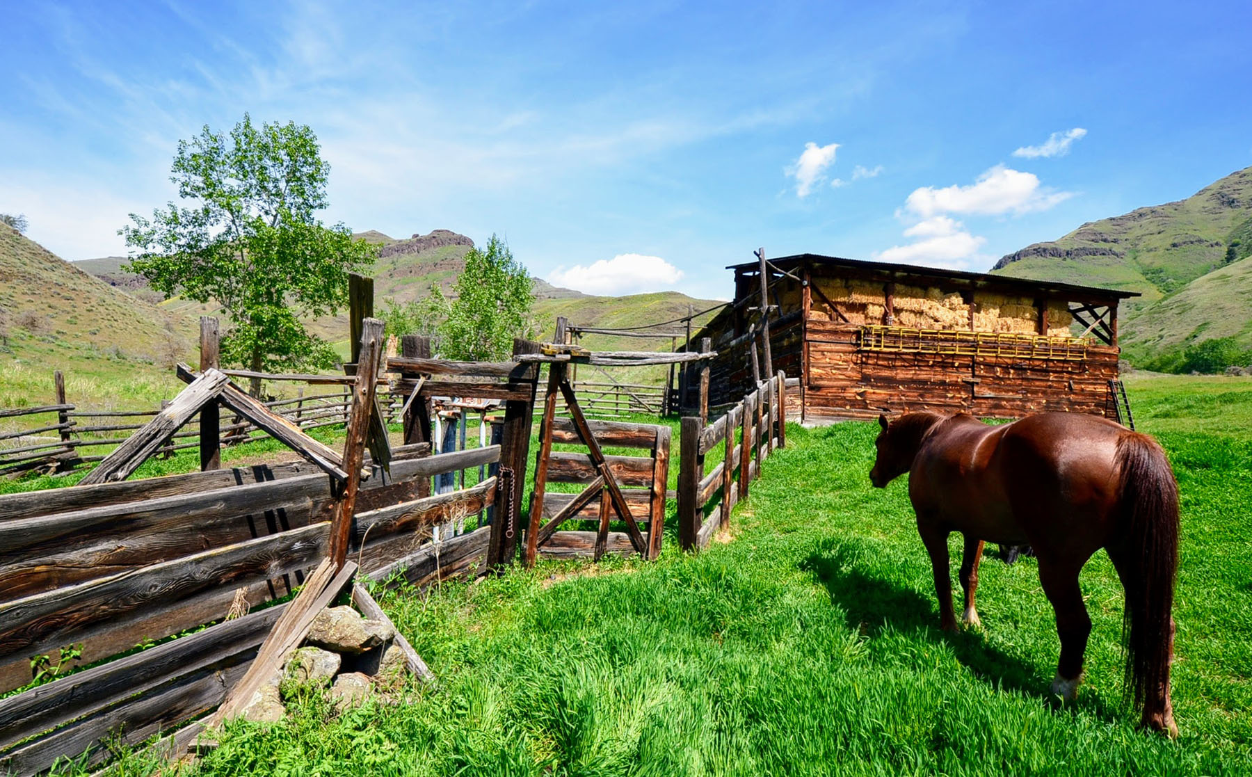 Lower Salmon River Ranch property picture 27 of 95