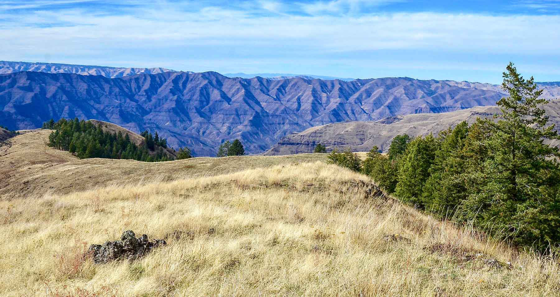 Lower Salmon River Ranch property picture 74 of 95