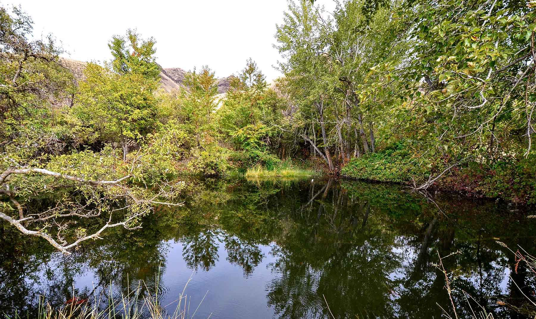 Lower Salmon River Ranch property picture 60 of 95