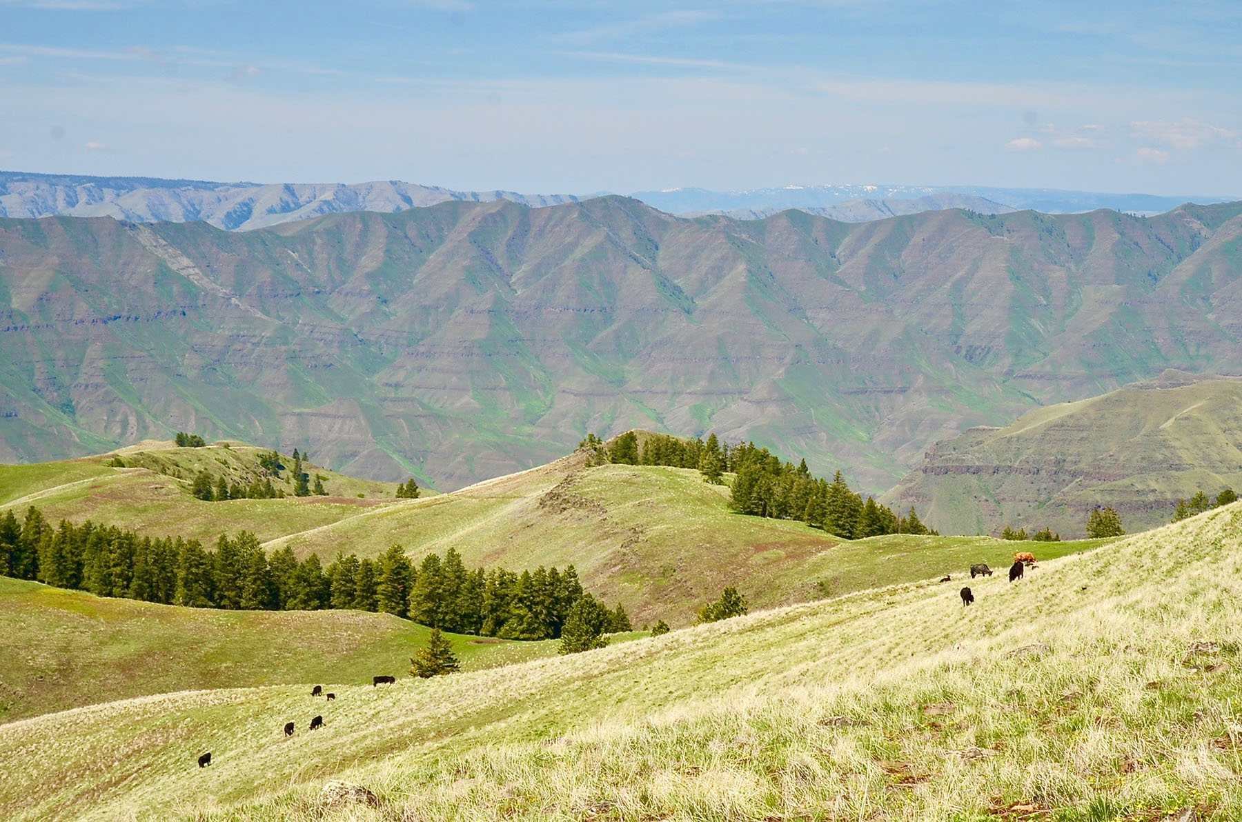 Lower Salmon River Ranch property picture 4 of 95