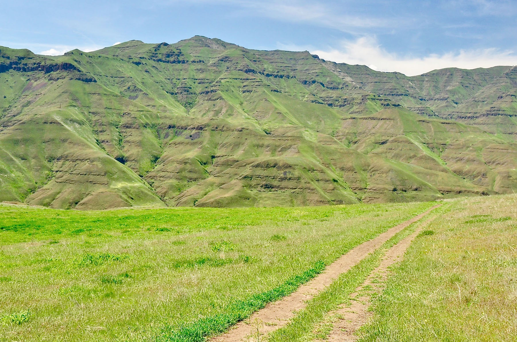 Lower Salmon River Ranch property picture 17 of 95