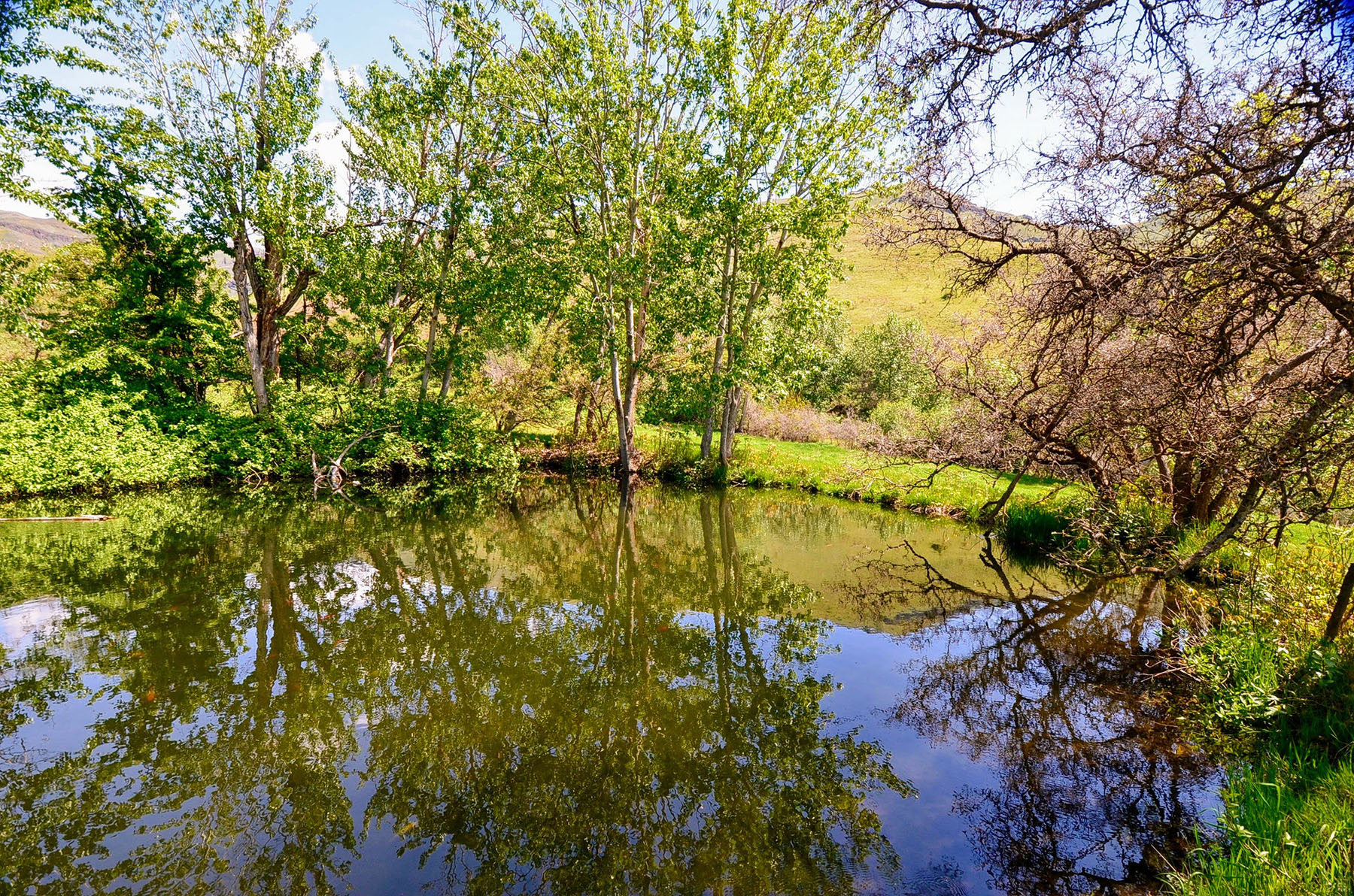 Lower Salmon River Ranch property picture 24 of 95