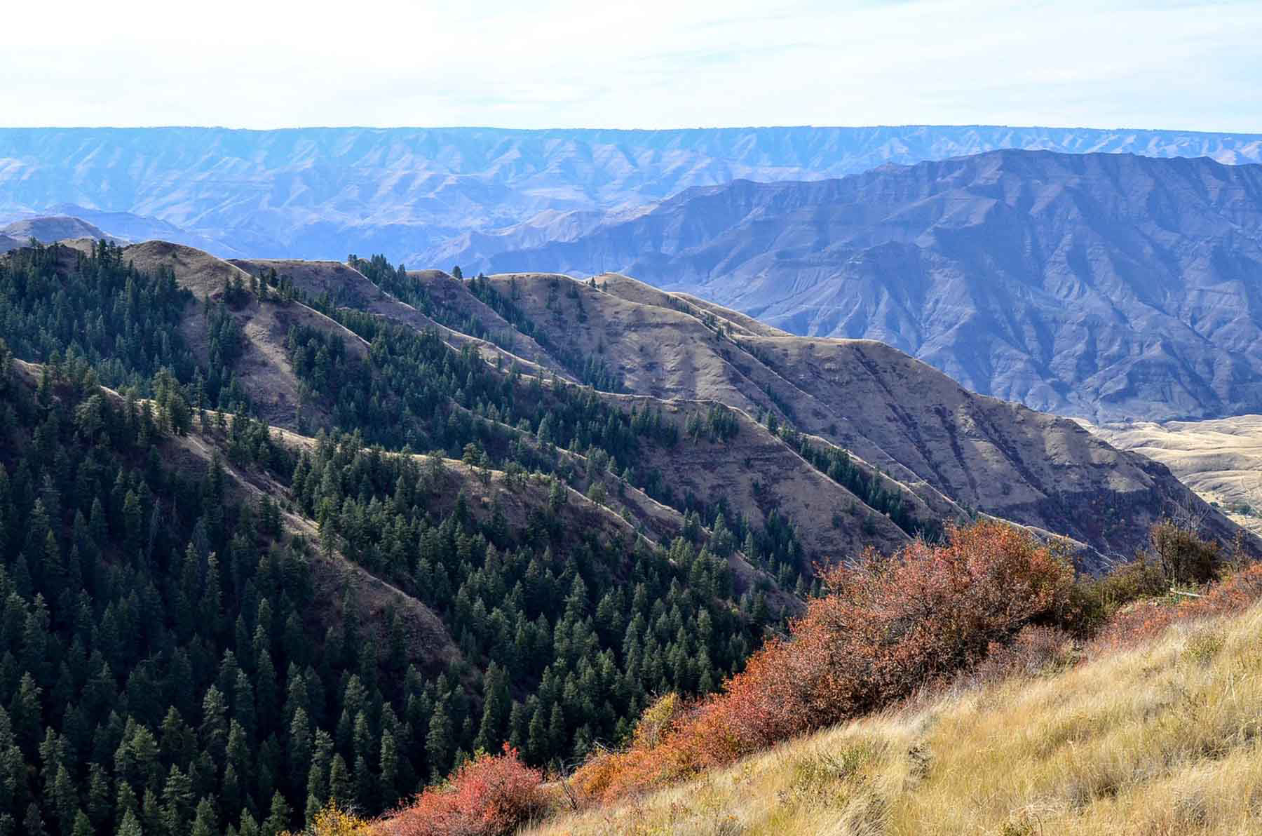 Lower Salmon River Ranch property picture 81 of 95