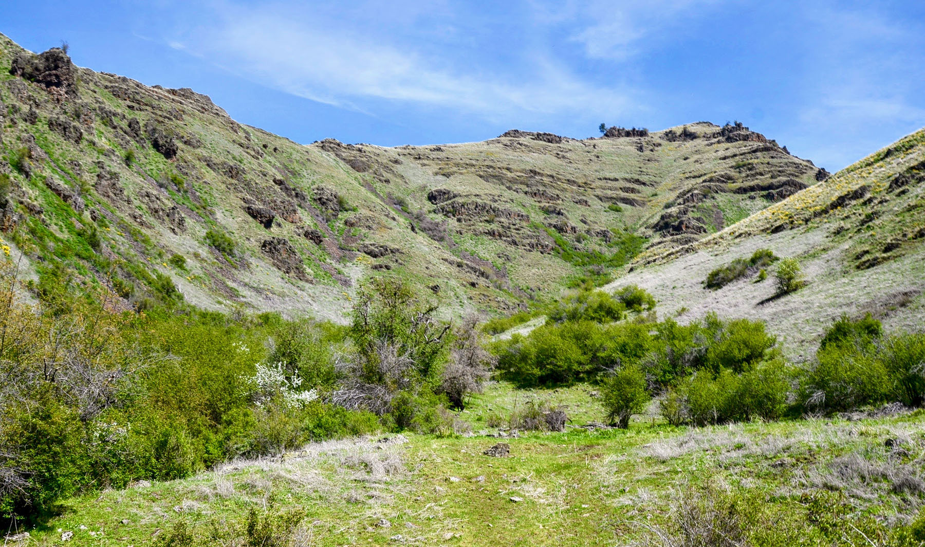 Lower Salmon River Ranch property picture 10 of 95