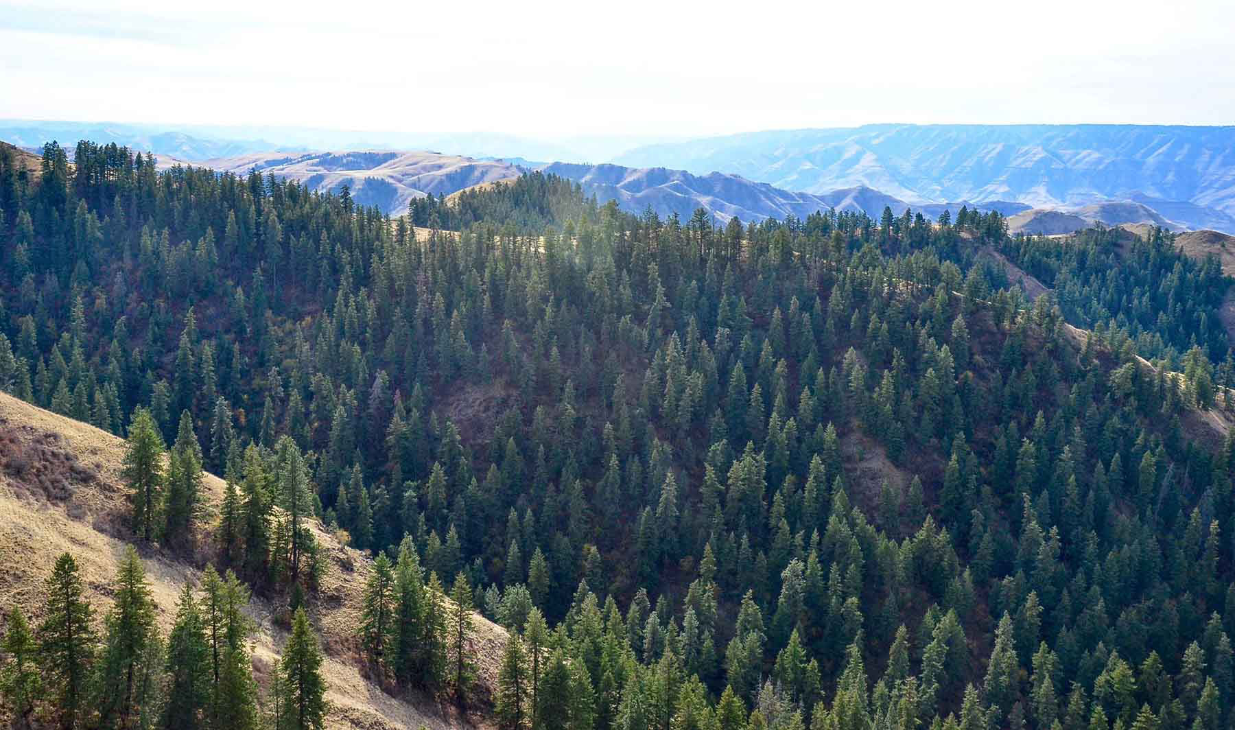 Lower Salmon River Ranch property picture 85 of 95